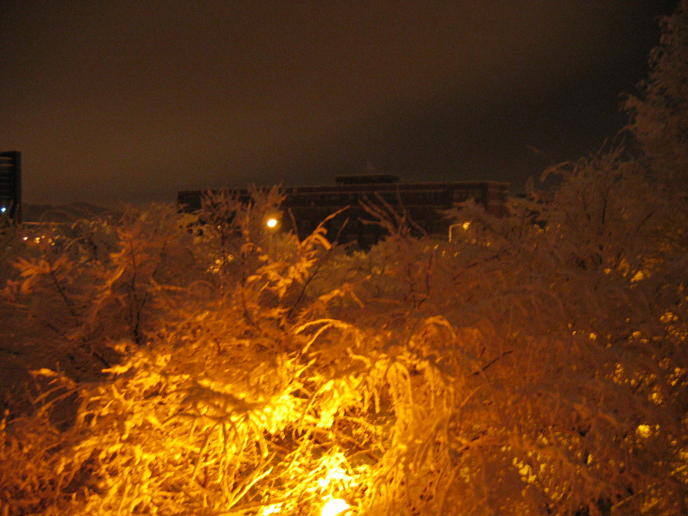 2006-12-17 오전 4-56-45.JPG