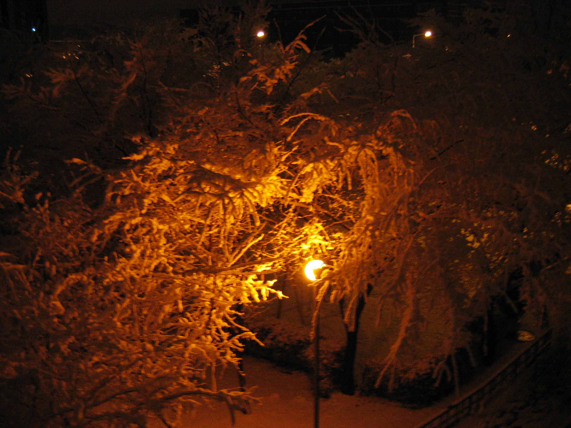 2006-12-17 오전 4-56-54.JPG