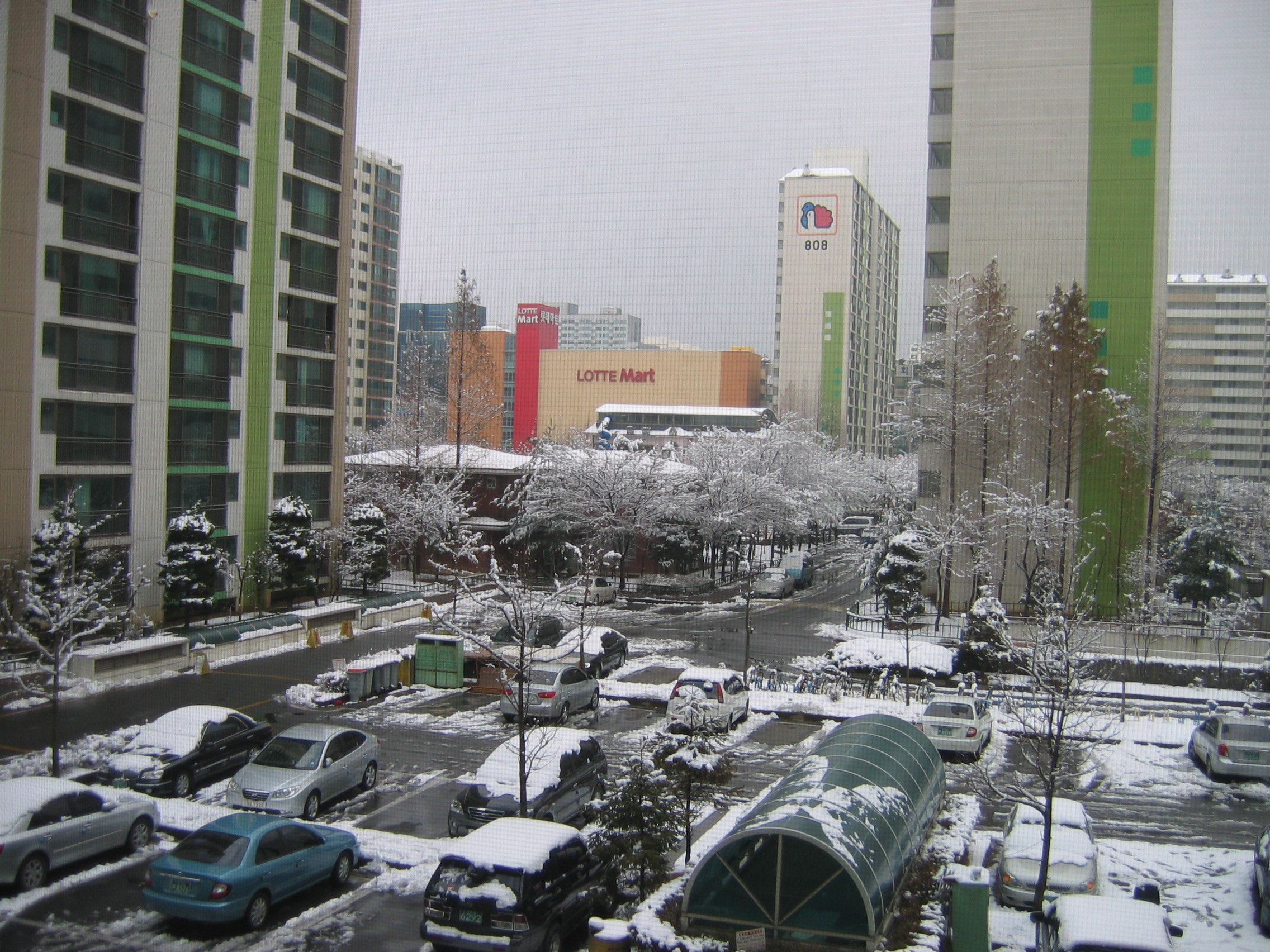 2006-12-17 오후 1-45-28.JPG