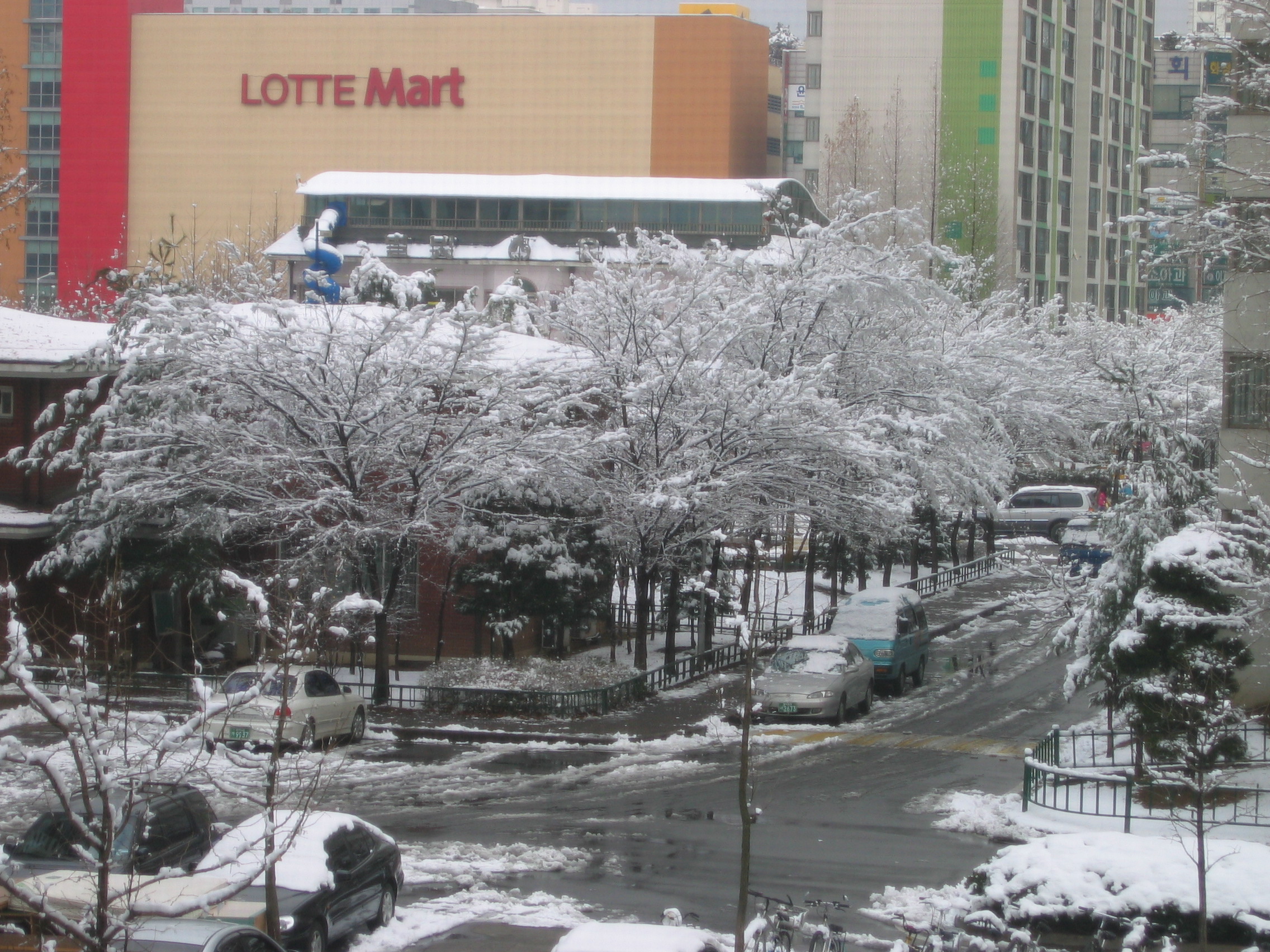 2006-12-17 오후 1-45-40.JPG