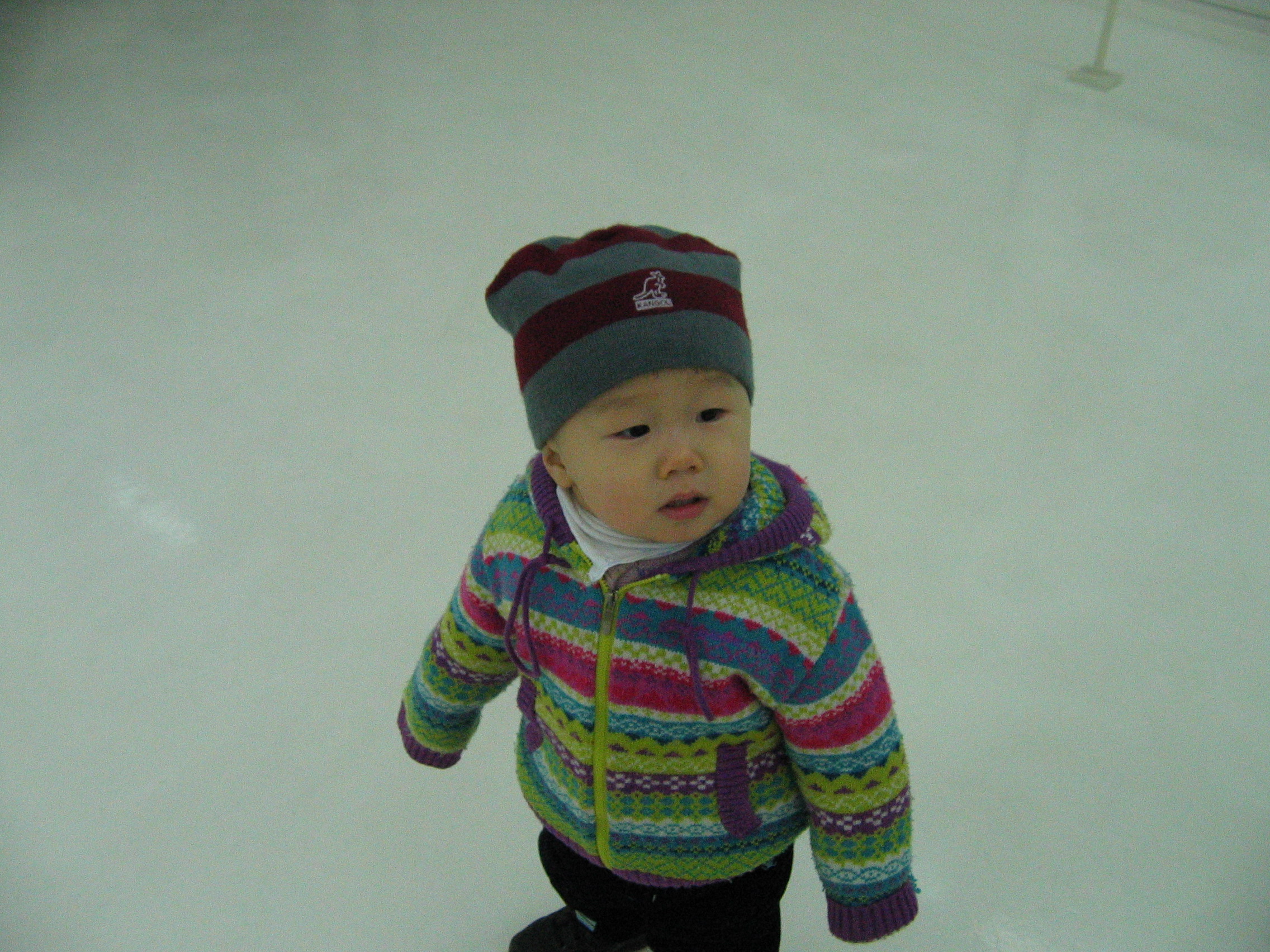 IMG_2908.JPG