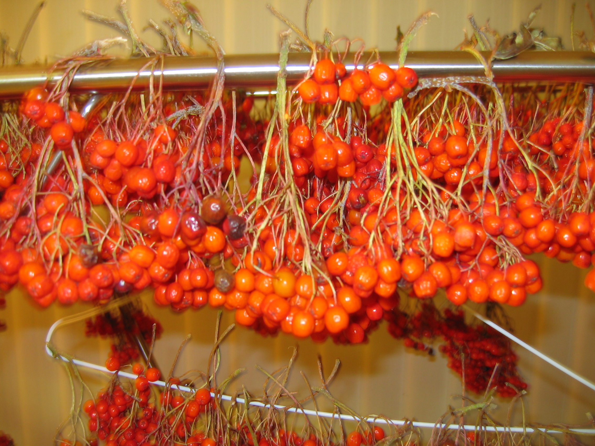 사진 006.jpg