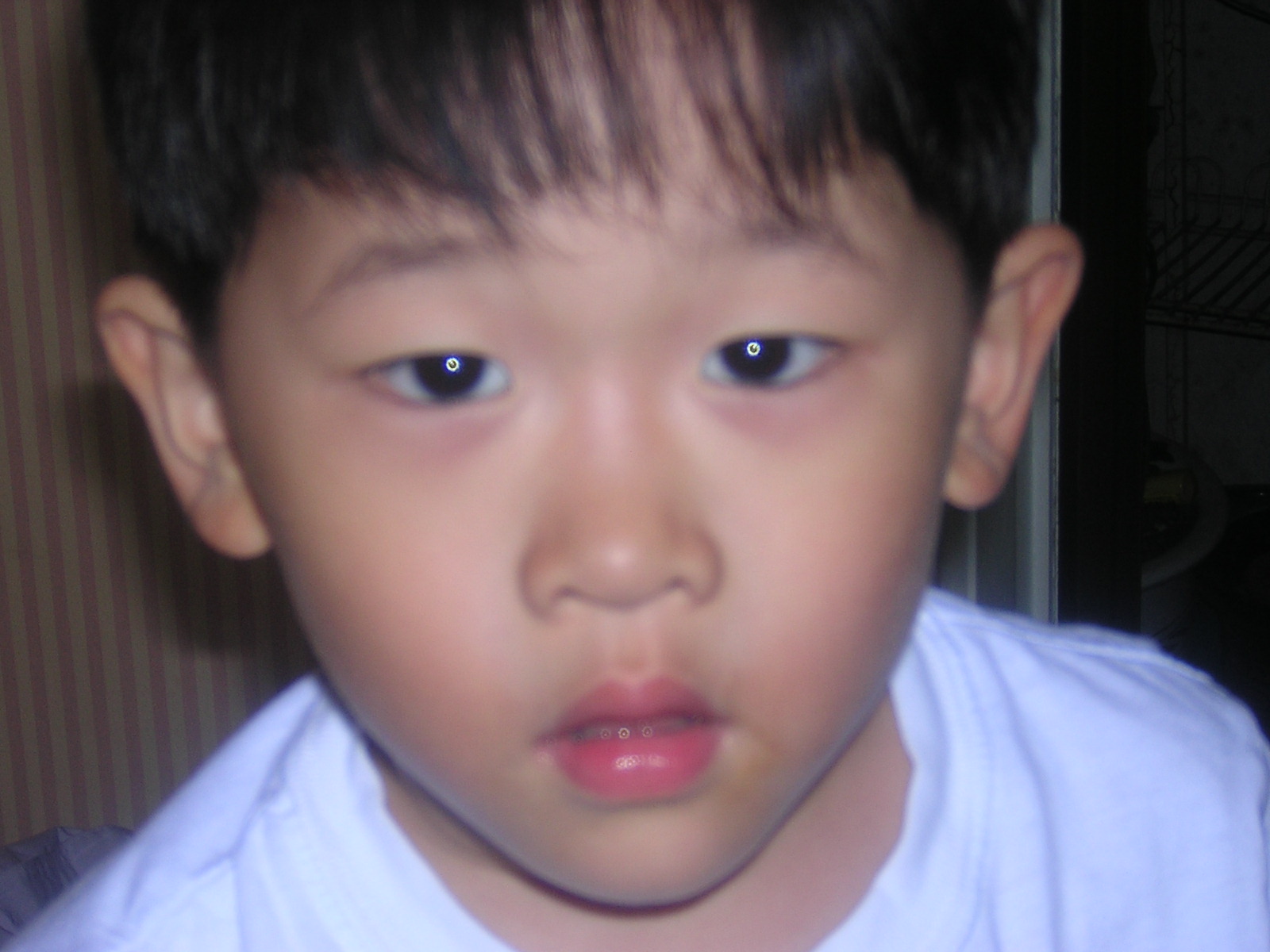 2003-05-19-39.jpg