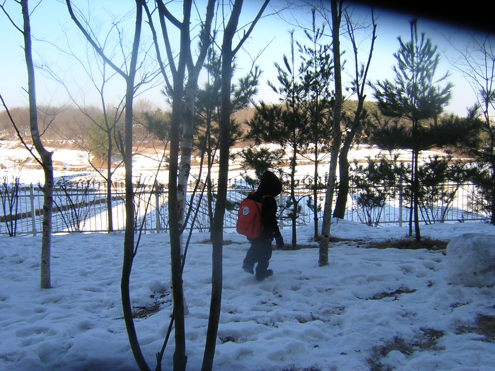 2004-01-27-29.jpg
