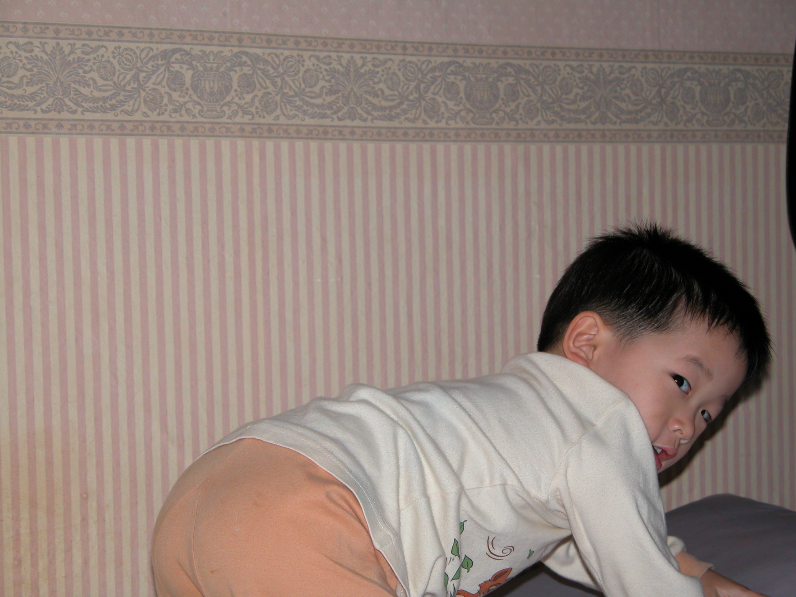 DSCN0642.JPG