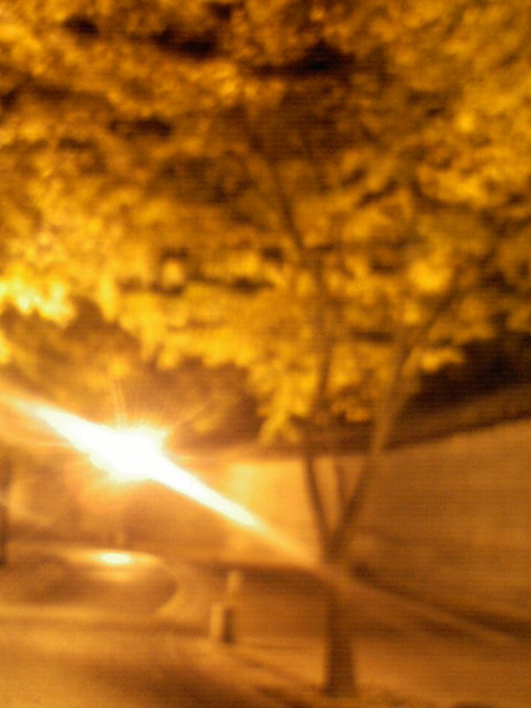 사진_270.jpg