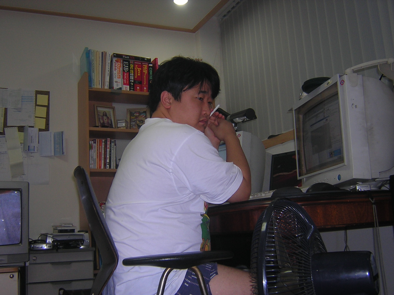 mango_008.jpg