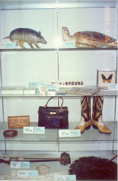 2)미국방문사진002_20.jpg