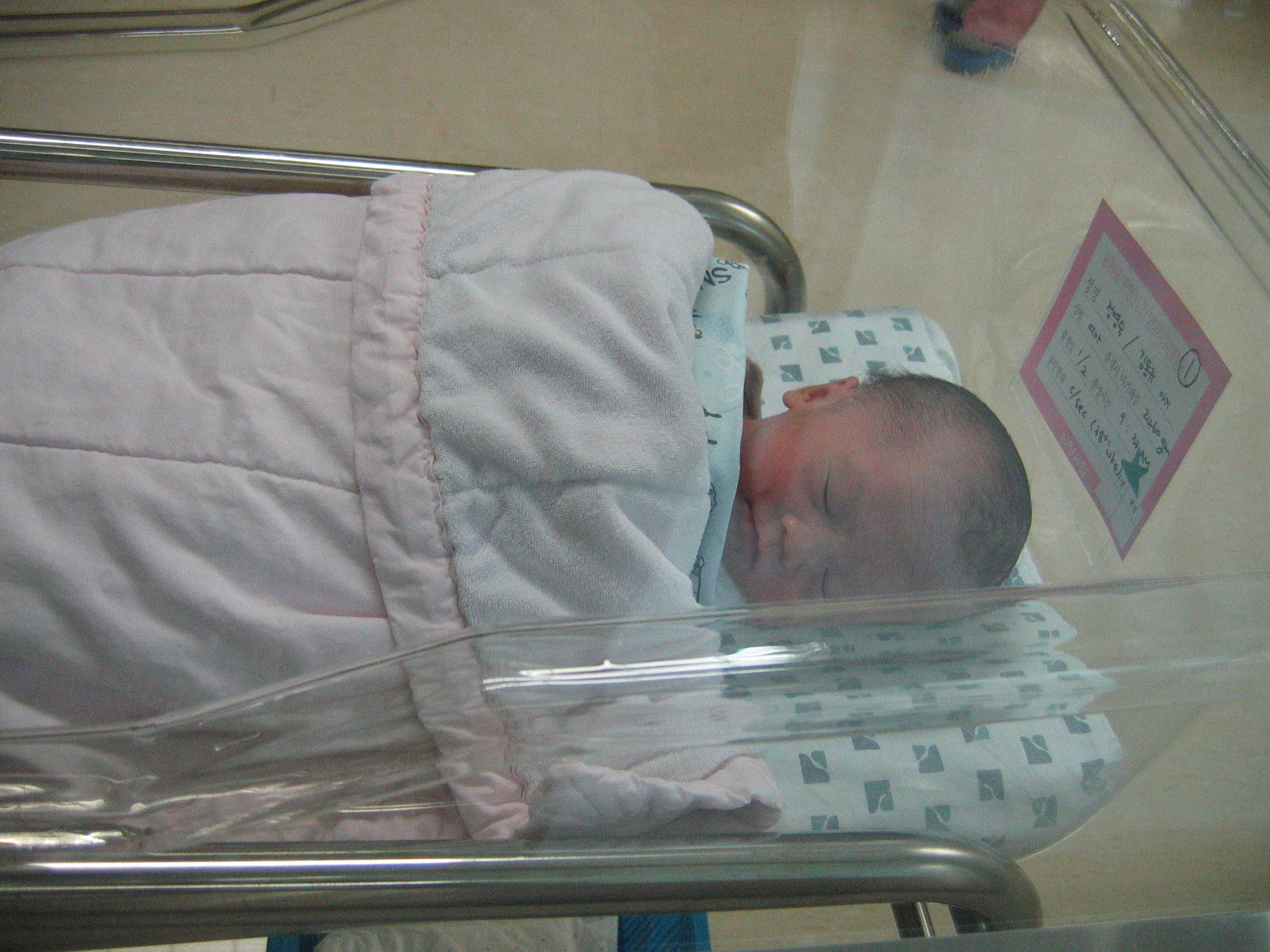 2007-01-02 오후 12-41-39.JPG
