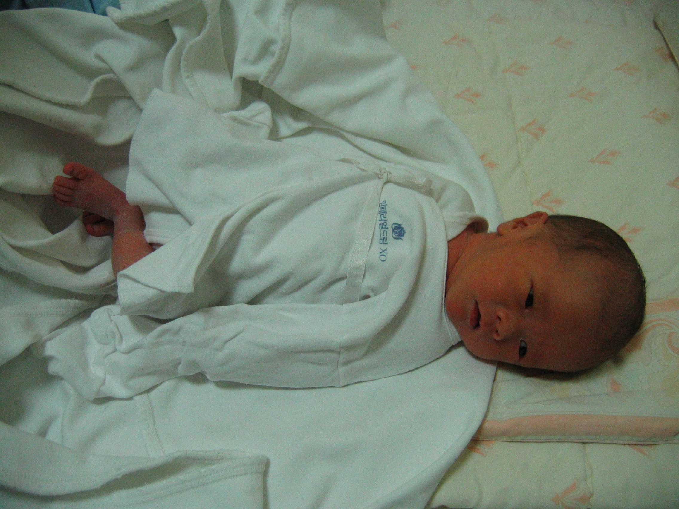 2007-01-08 오후 2-07-55.JPG