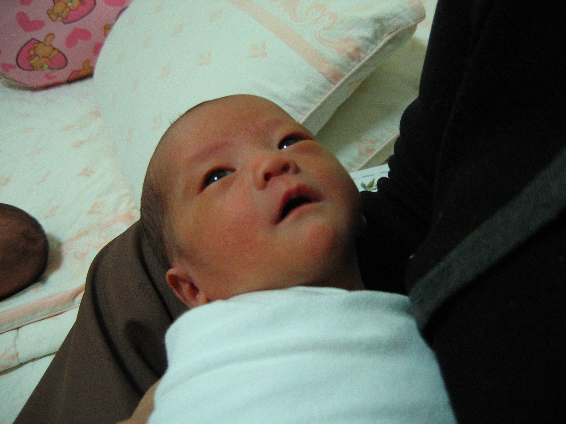 2007-01-08 오후 2-08-07.JPG