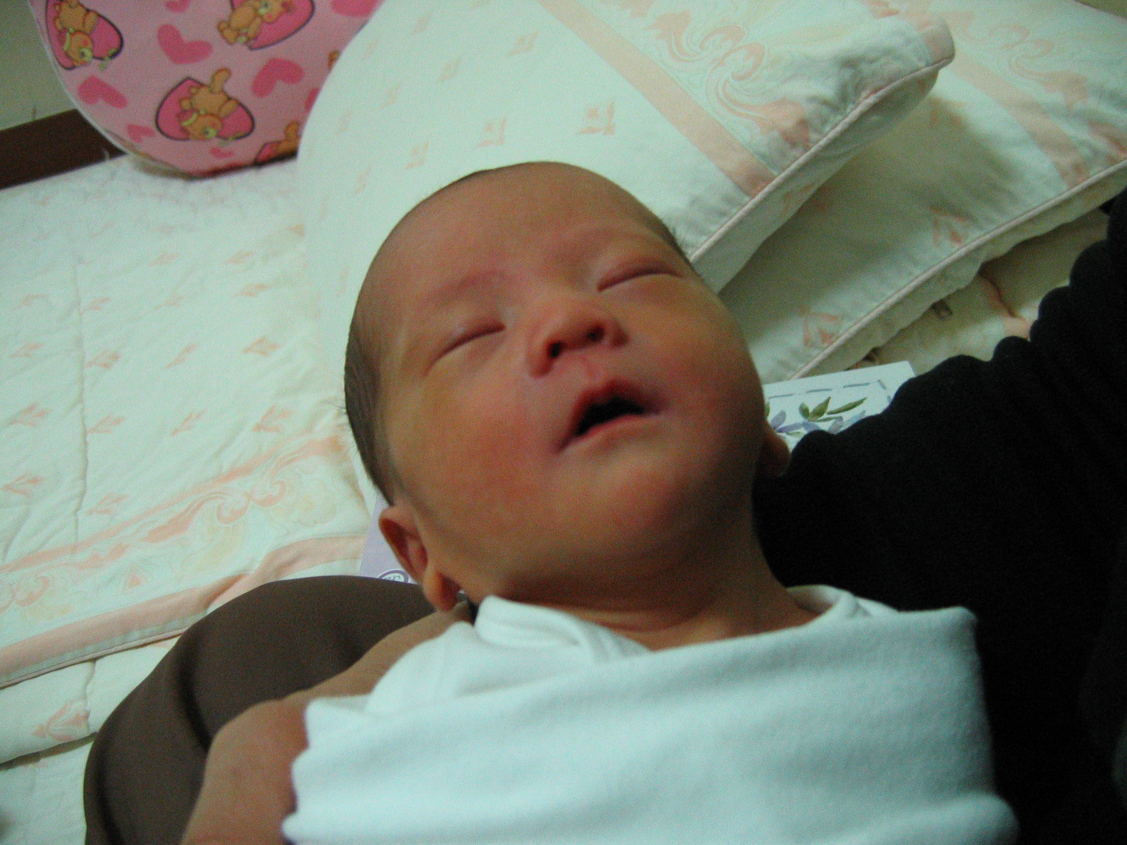 2007-01-08 오후 2-11-25.JPG