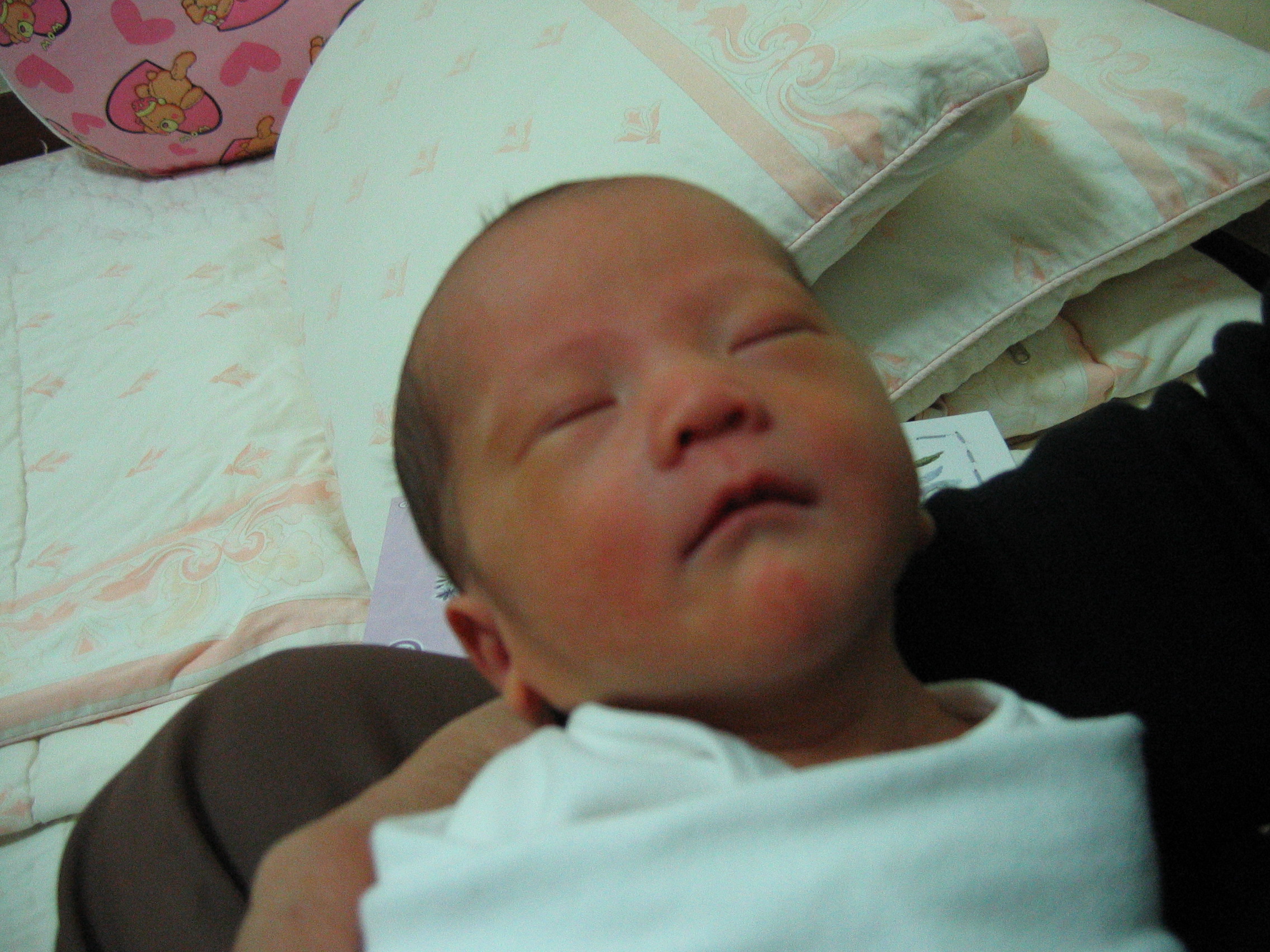 2007-01-08 오후 2-11-44.JPG