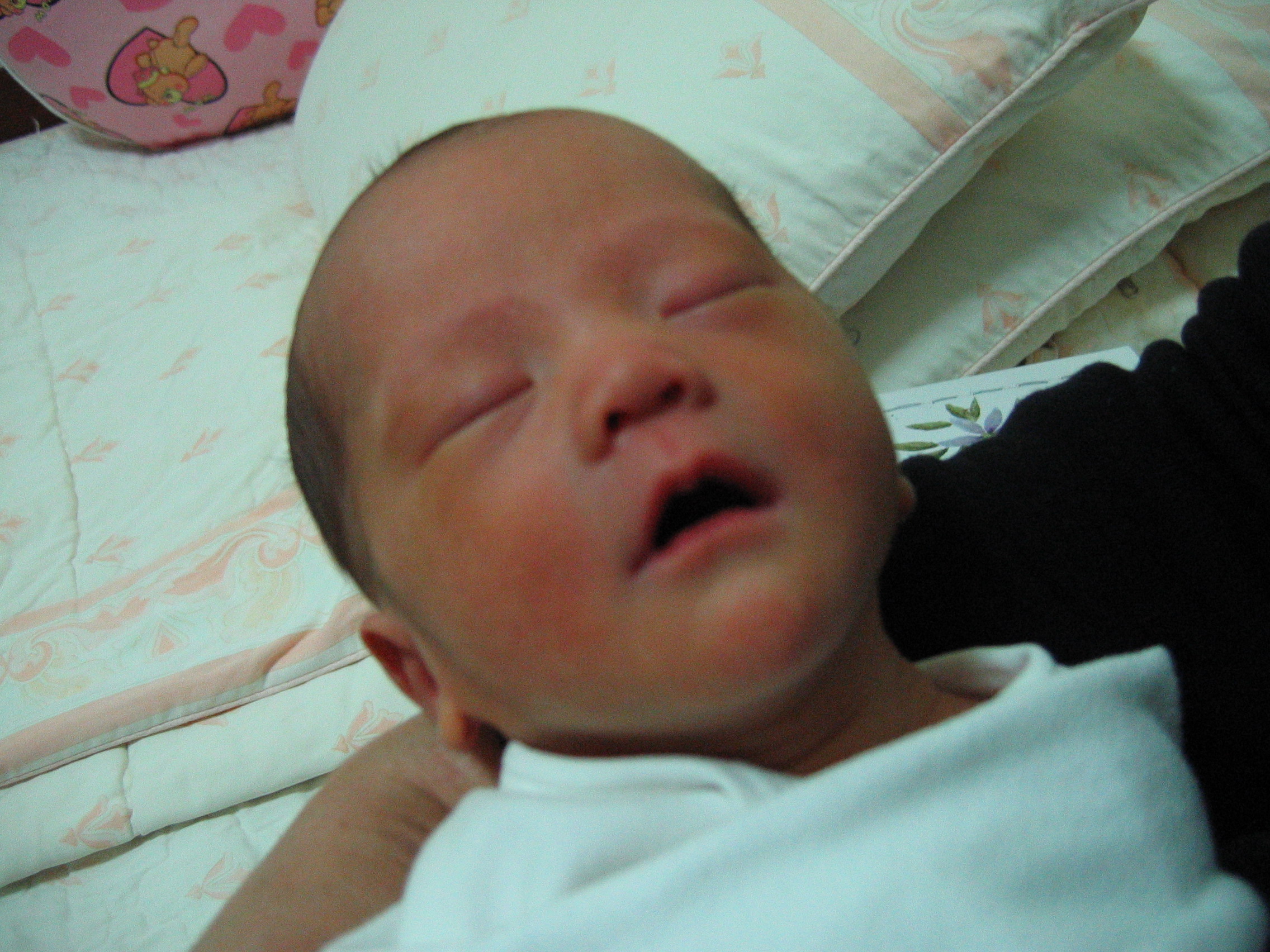 2007-01-08 오후 2-12-45.JPG