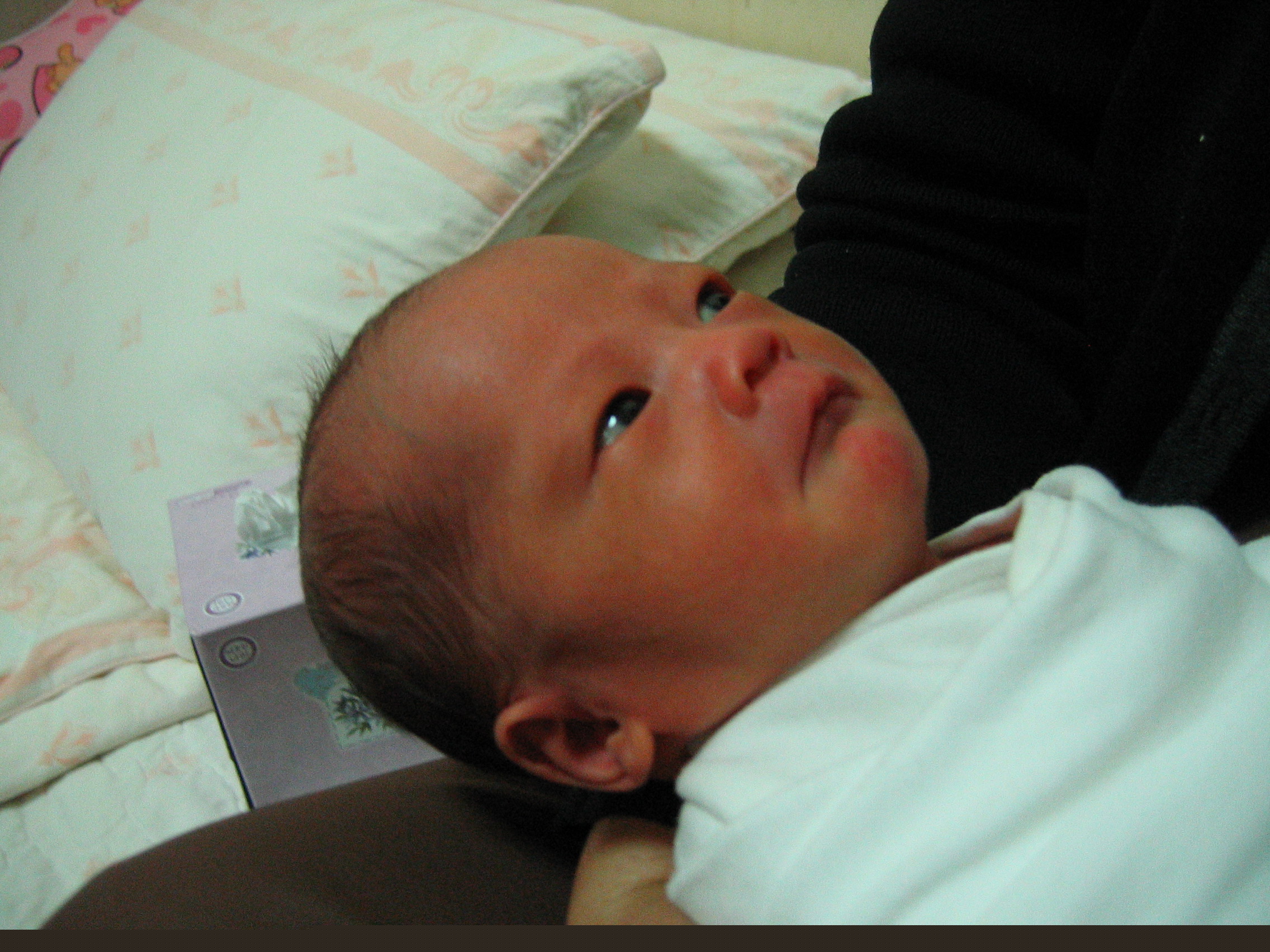2007-01-08 오후 2-15-32.JPG