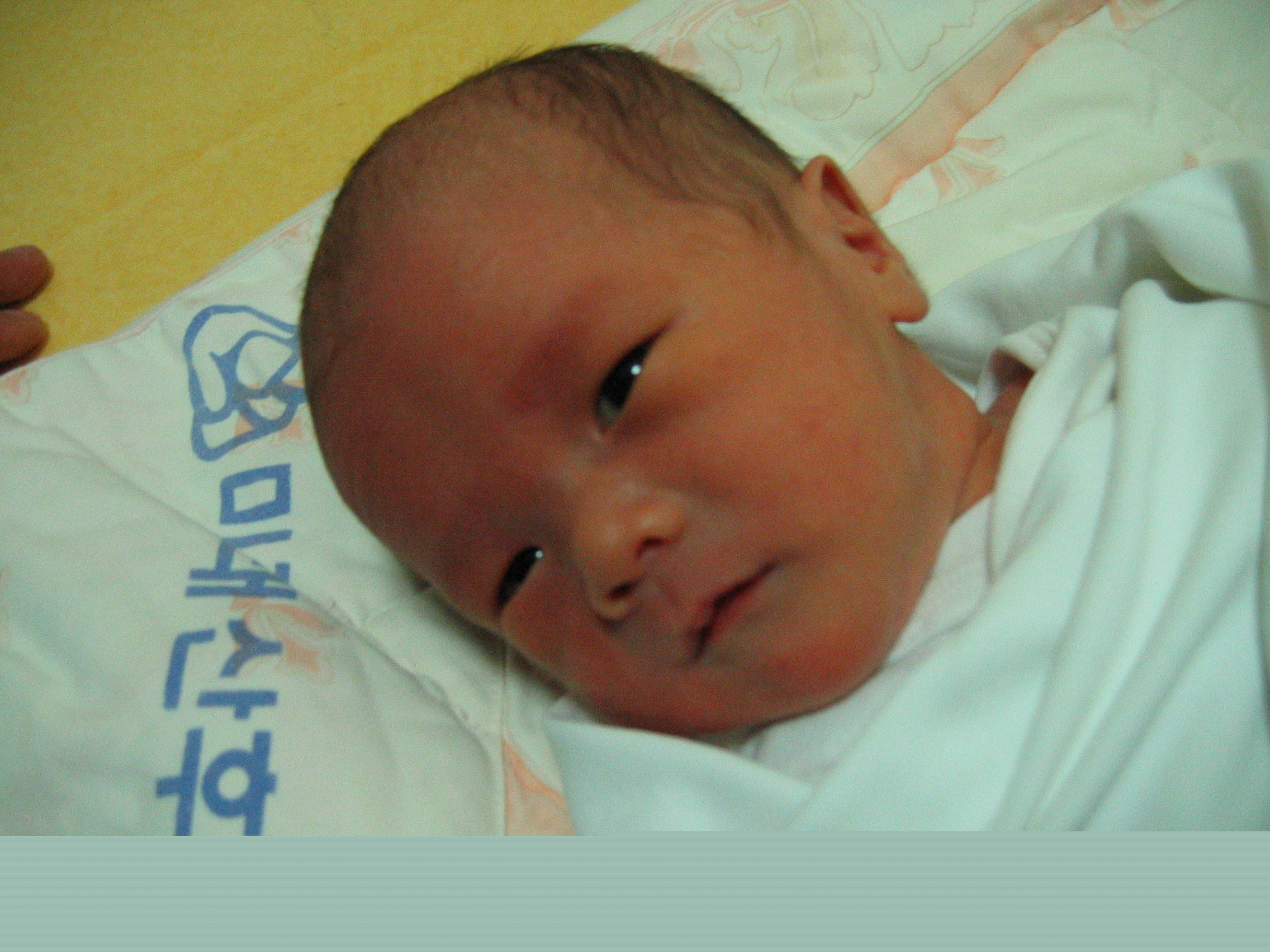 2007-01-08 오후 2-16-21.JPG