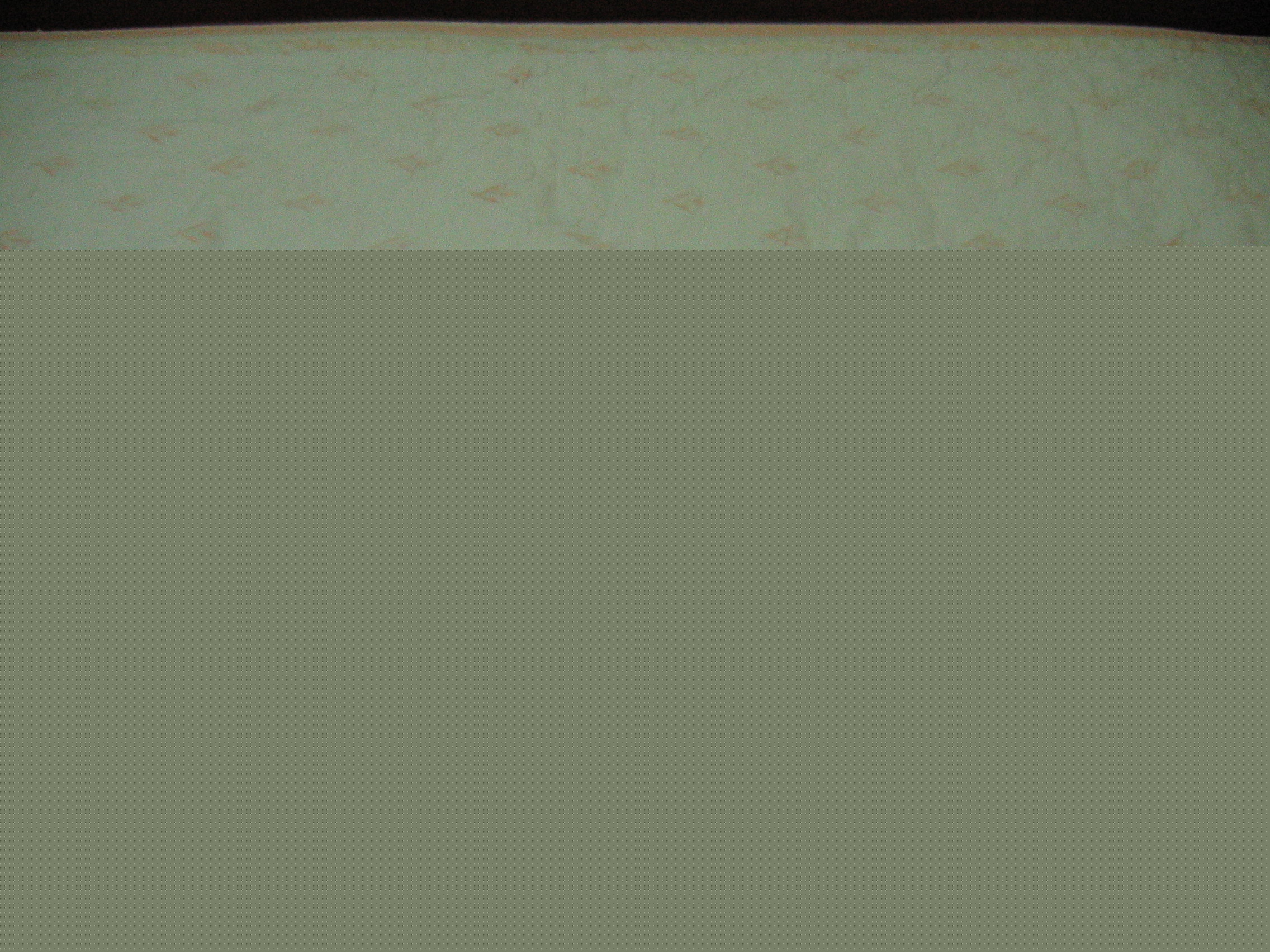 2007-01-09 오후 2-22-52.JPG