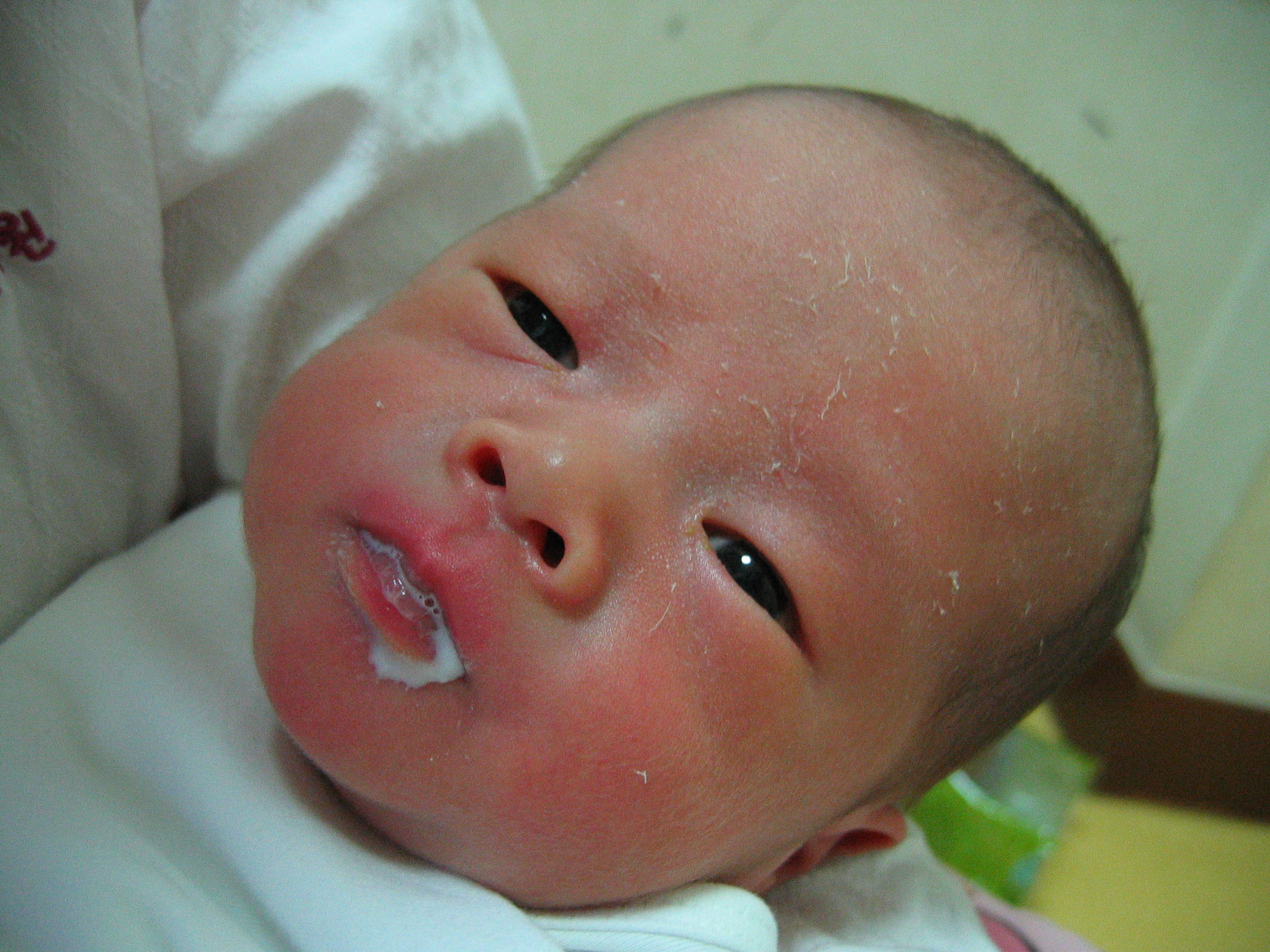 2007-01-15 오후 9-51-26.JPG