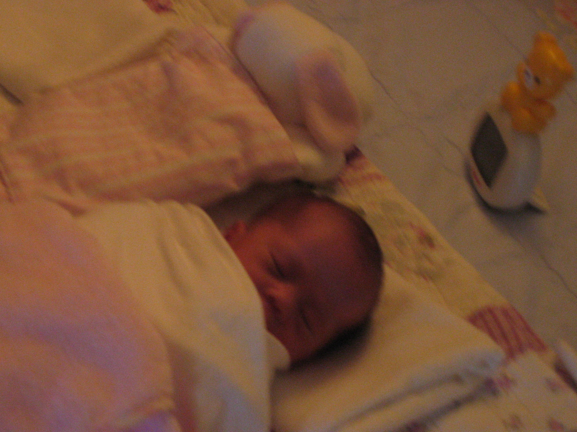 IMG_3125.JPG