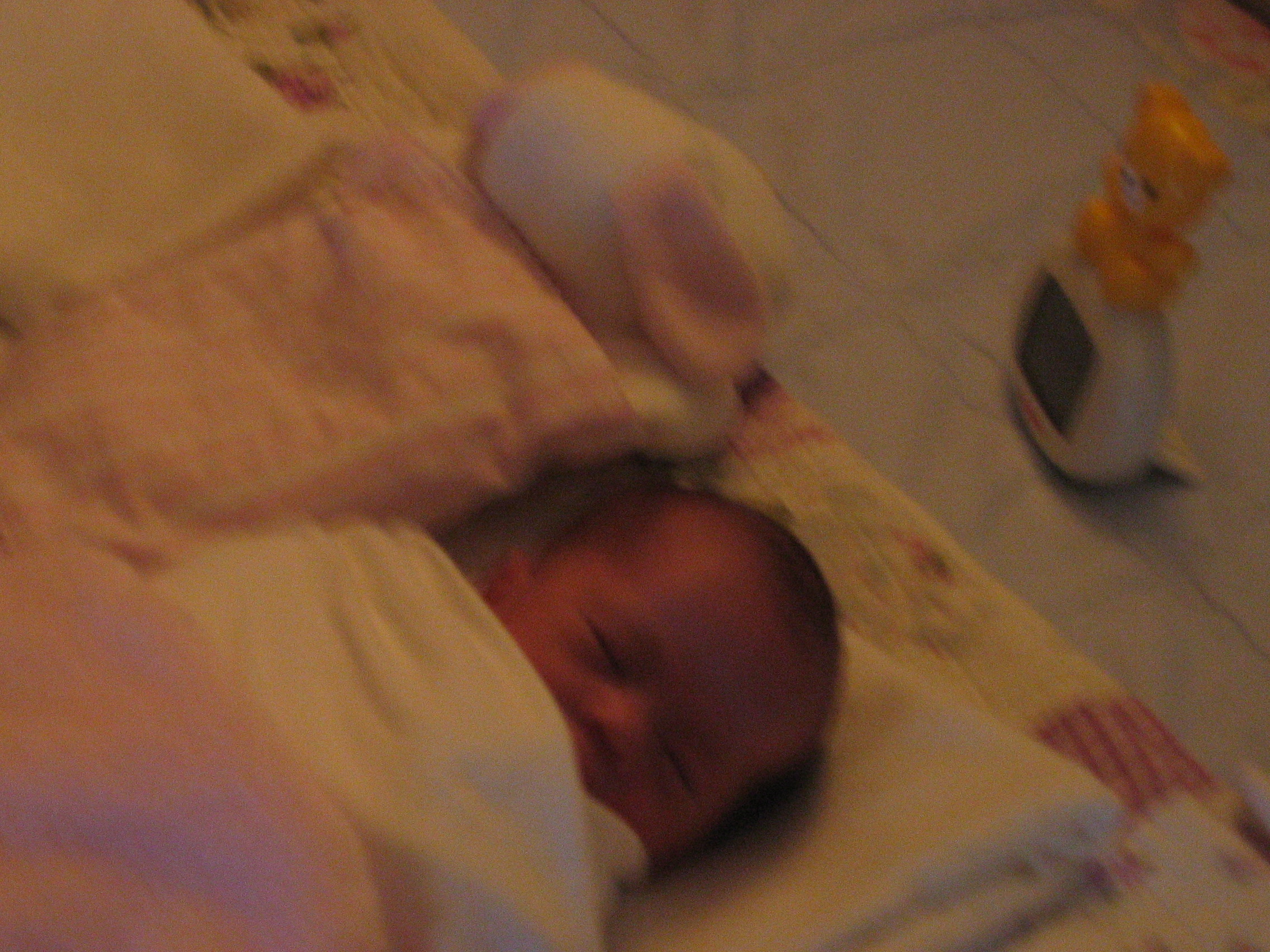 IMG_3126.JPG