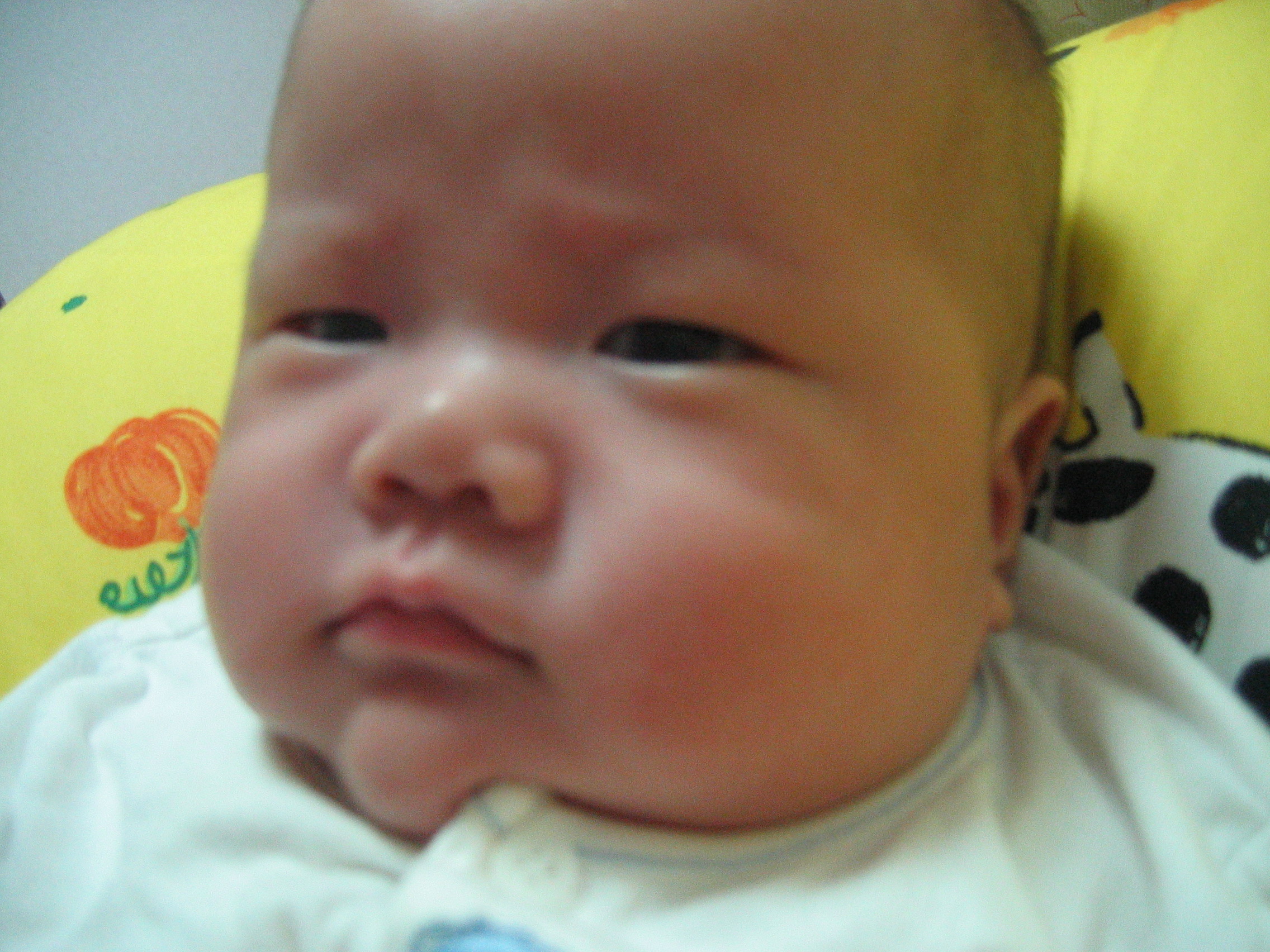 2007-03-04_15-38-47-0005.jpg
