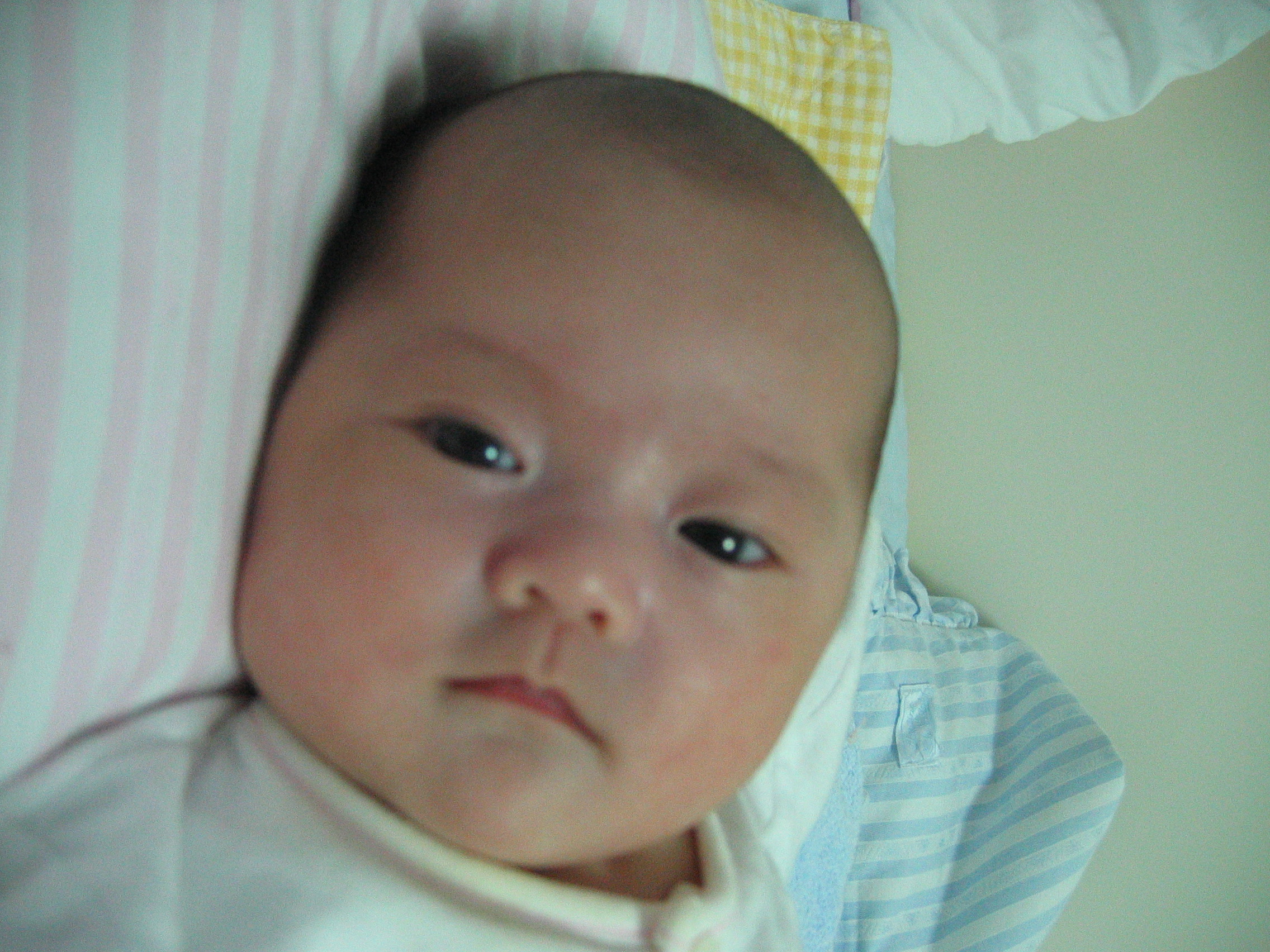 2007-03-04_15-49-06-0008.jpg