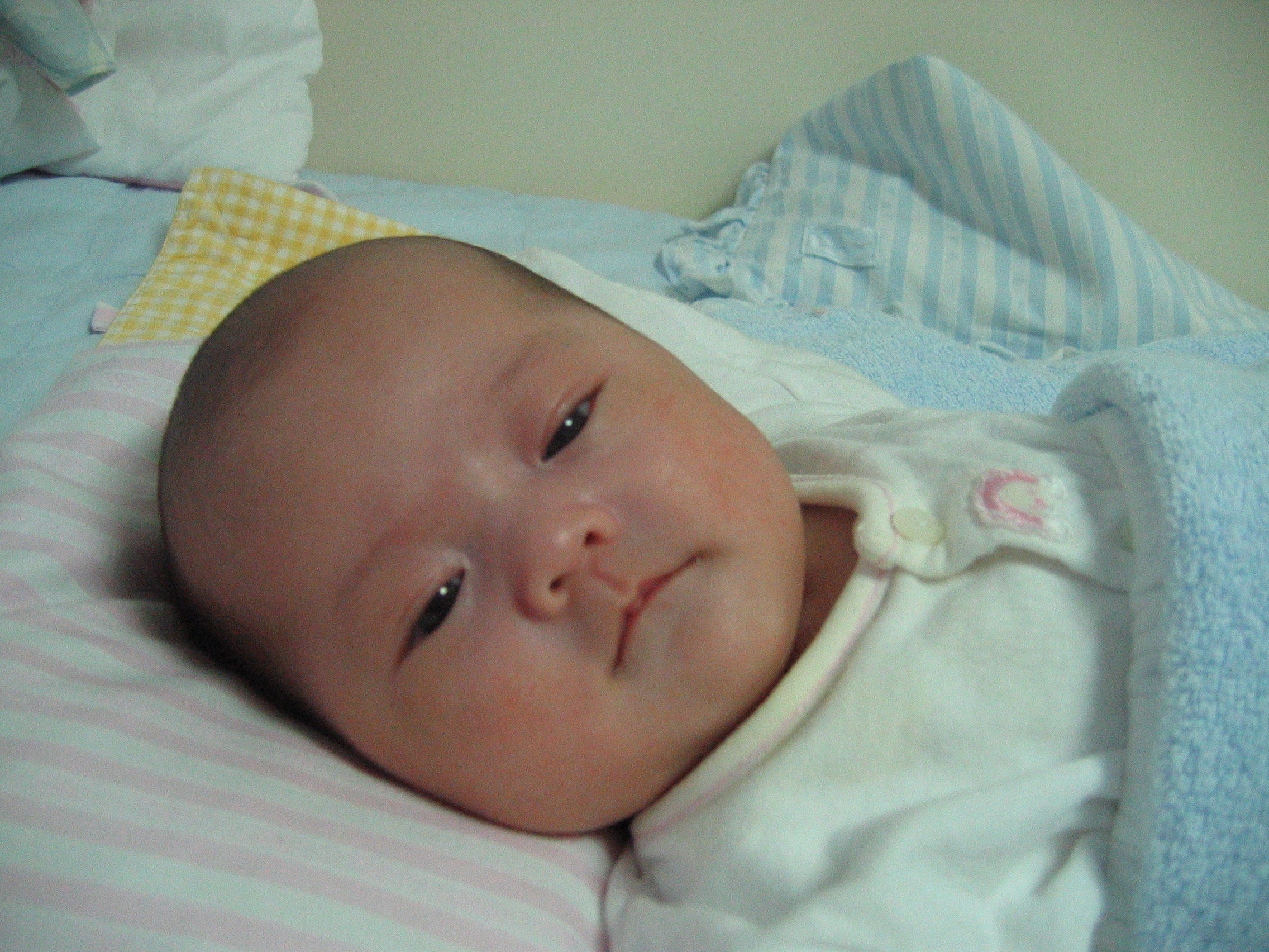 2007-03-04_15-49-25-0011.jpg