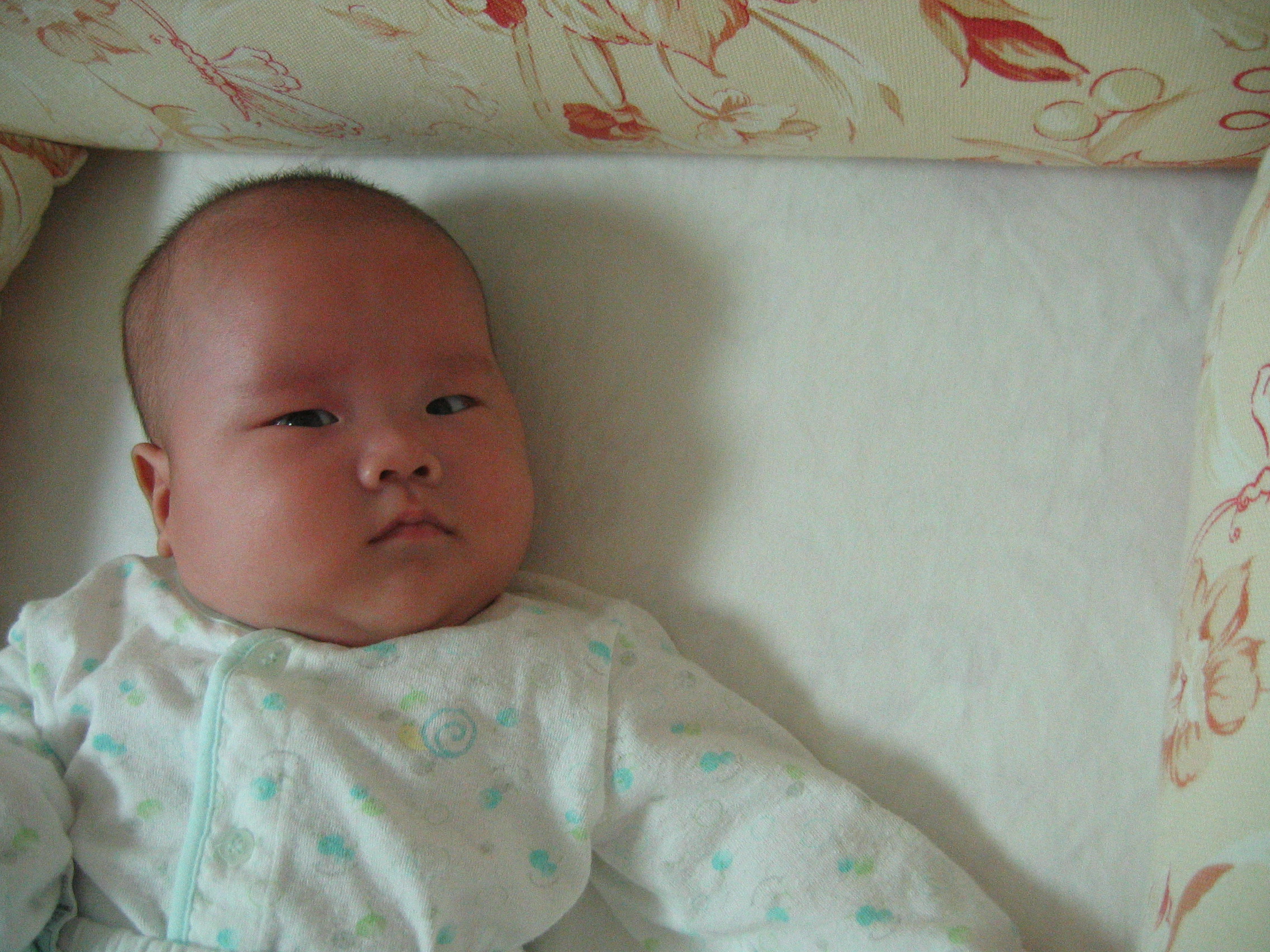 민재민성-백일-A80-2007-03-19 오후 5-40-51.jpg