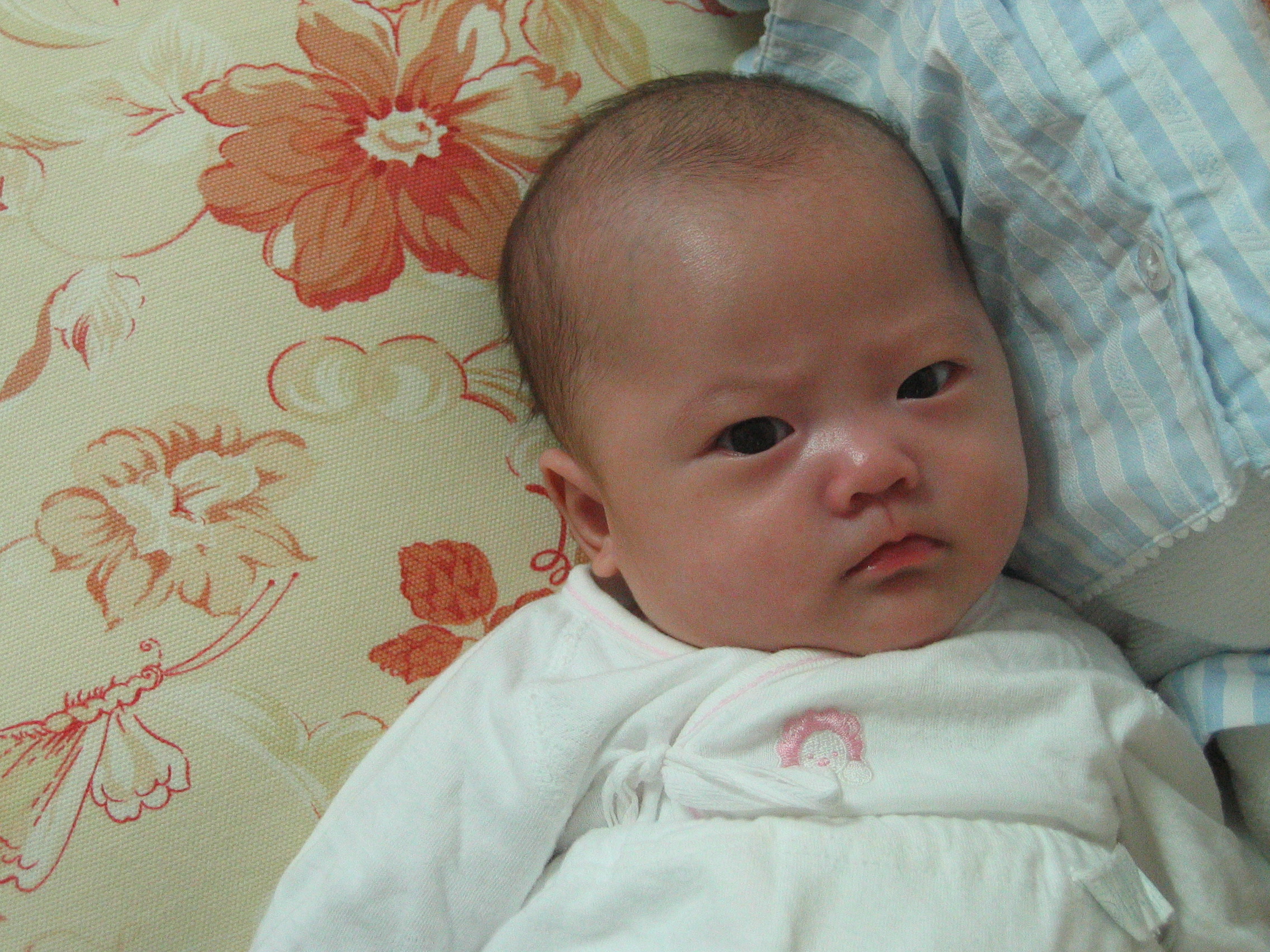 민재민성-백일-A80-2007-03-19 오후 5-41-01.jpg