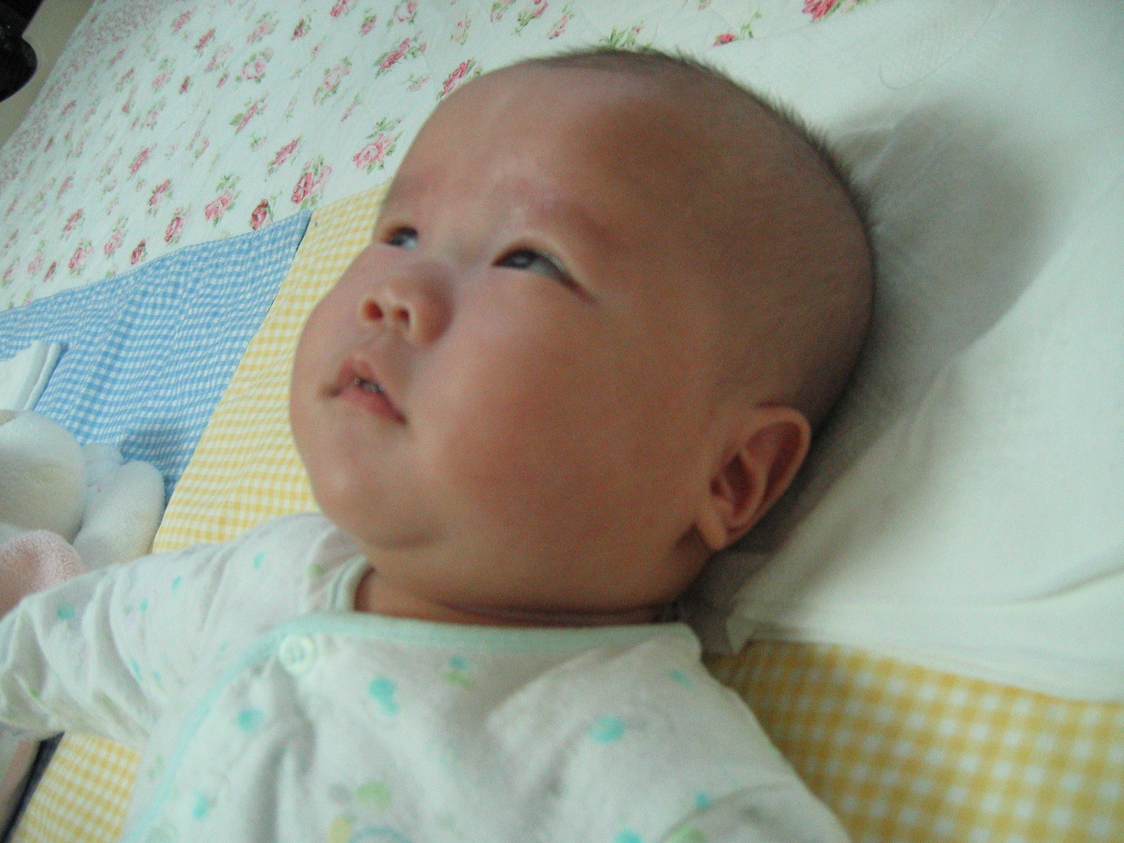 민재민성-백일-A80-2007-03-25 오후 1-27-17.jpg
