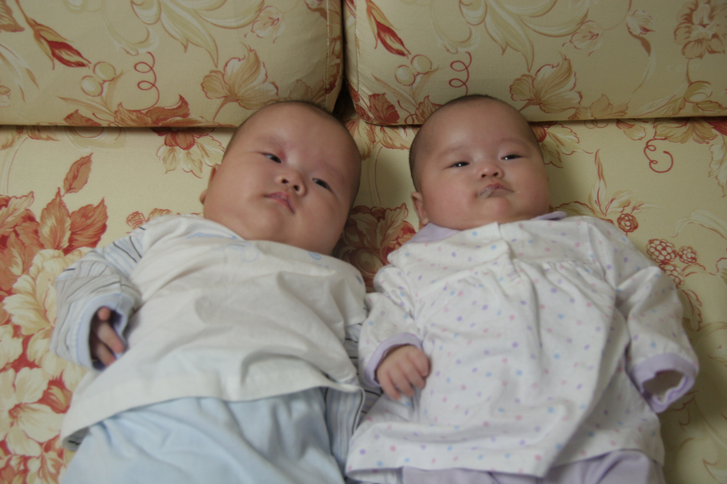 민재민성백일-2007-04-11 오후 10-02-50.jpg