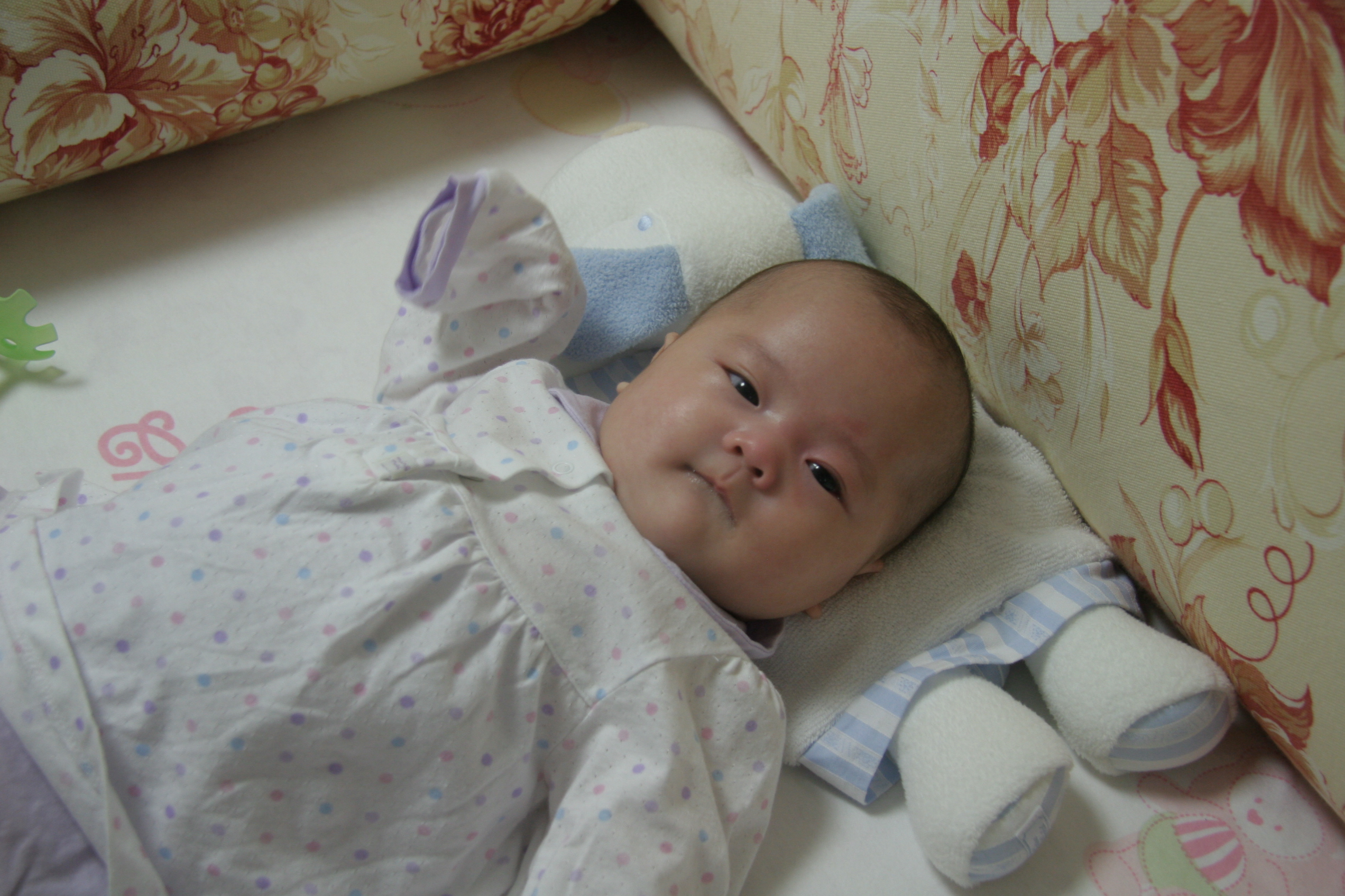 민재민성백일-2007-04-11 오후 9-47-18.jpg