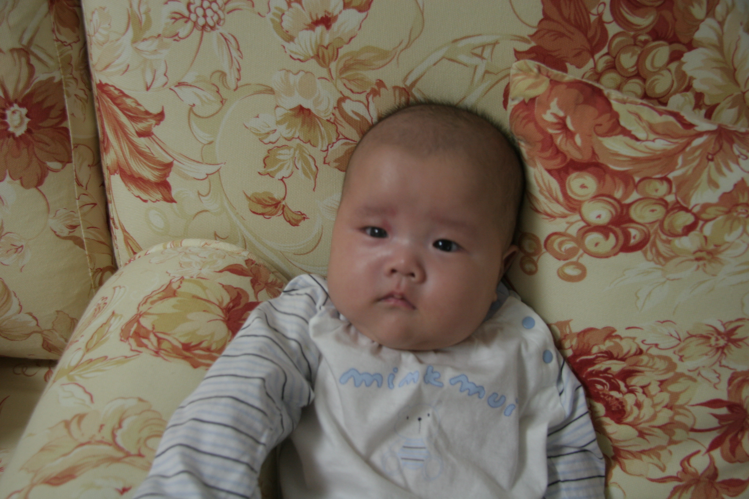 민재민성백일-2007-04-11 오후 9-52-33.jpg