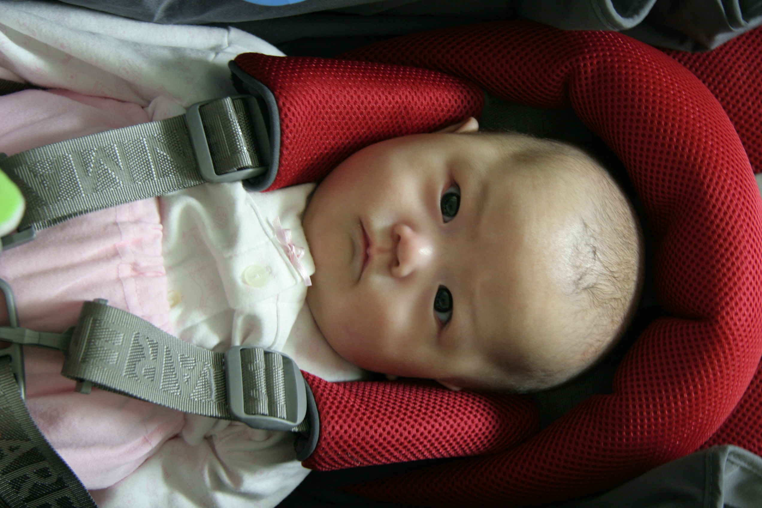2007-04-13 오후 6-50-07IMG_3561.JPG