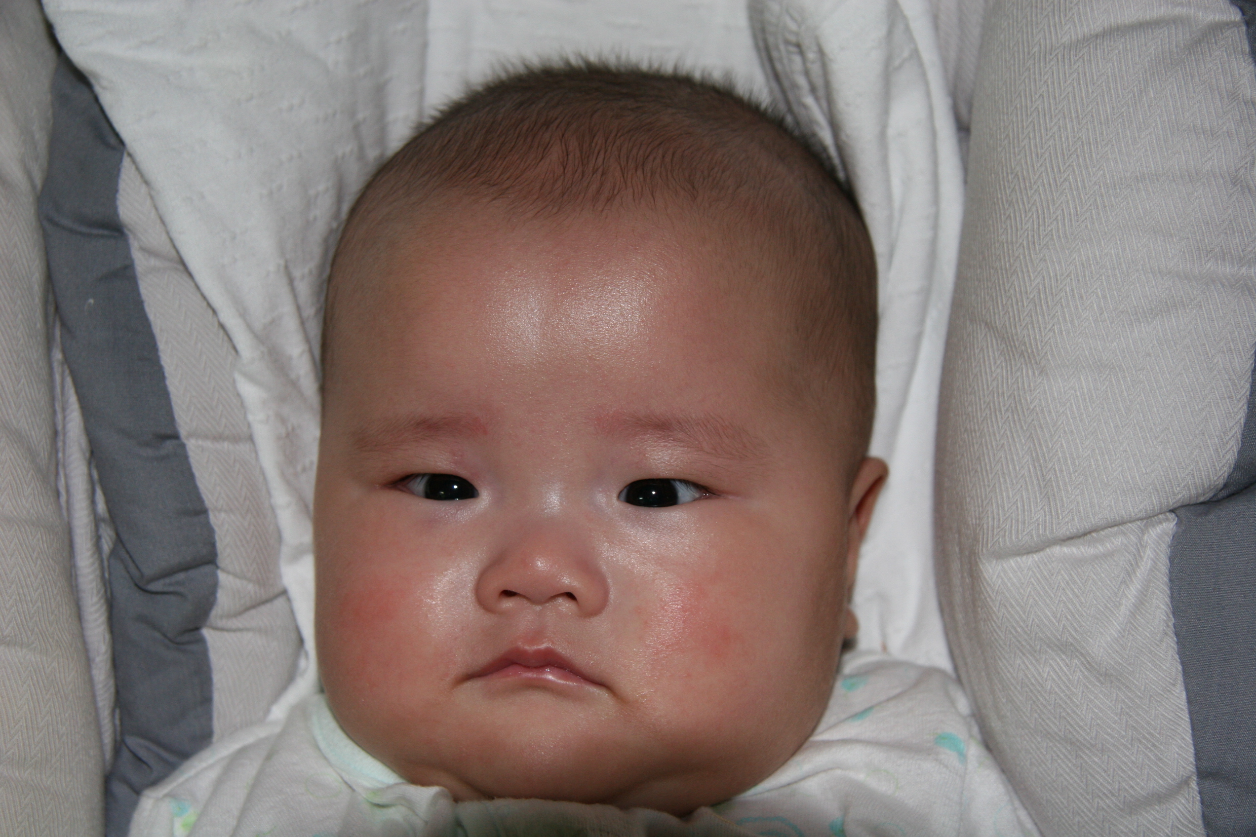 2007-04-30 오후 1-40-46IMG_3588.JPG