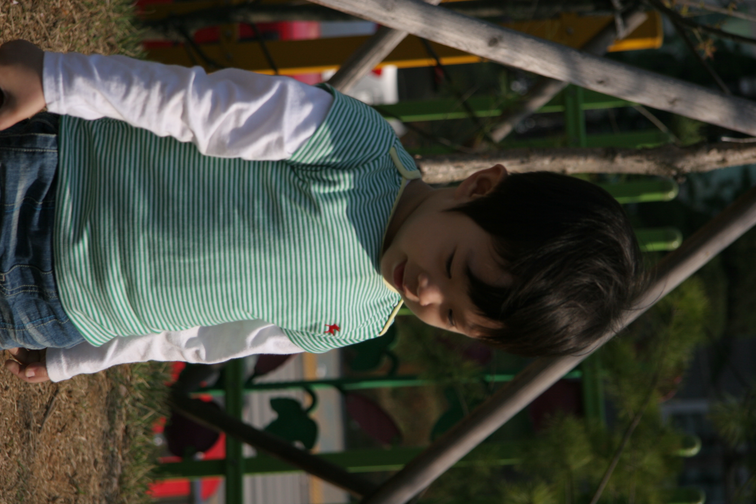 IMG_3775.JPG