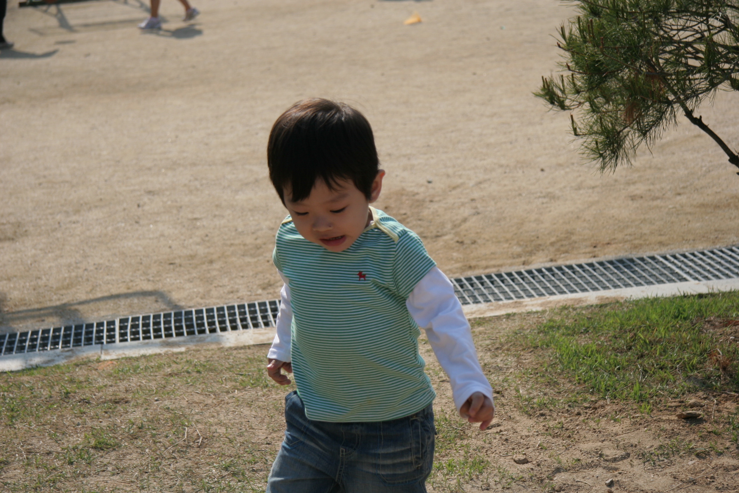 IMG_3805.JPG