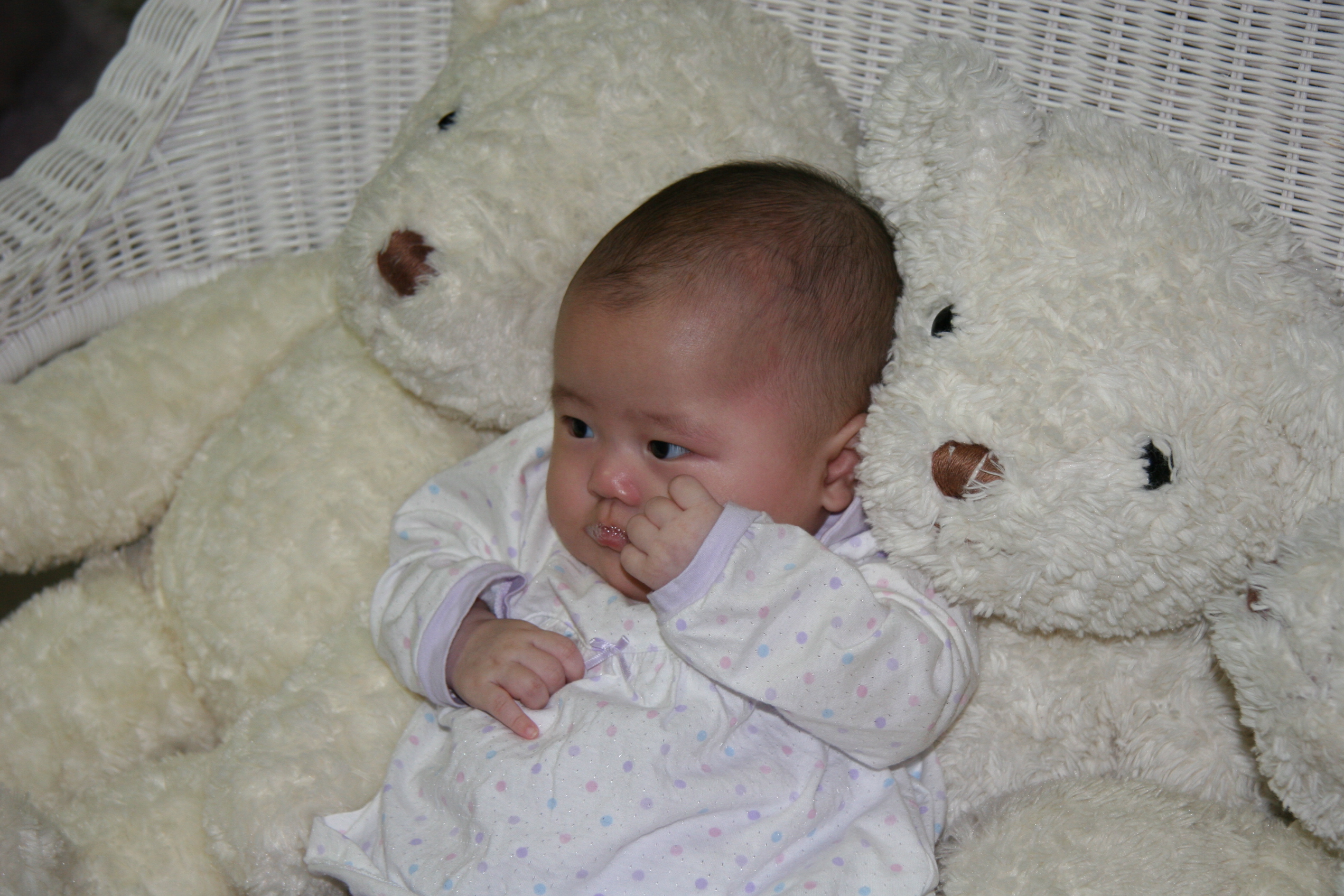 IMG_3995.JPG