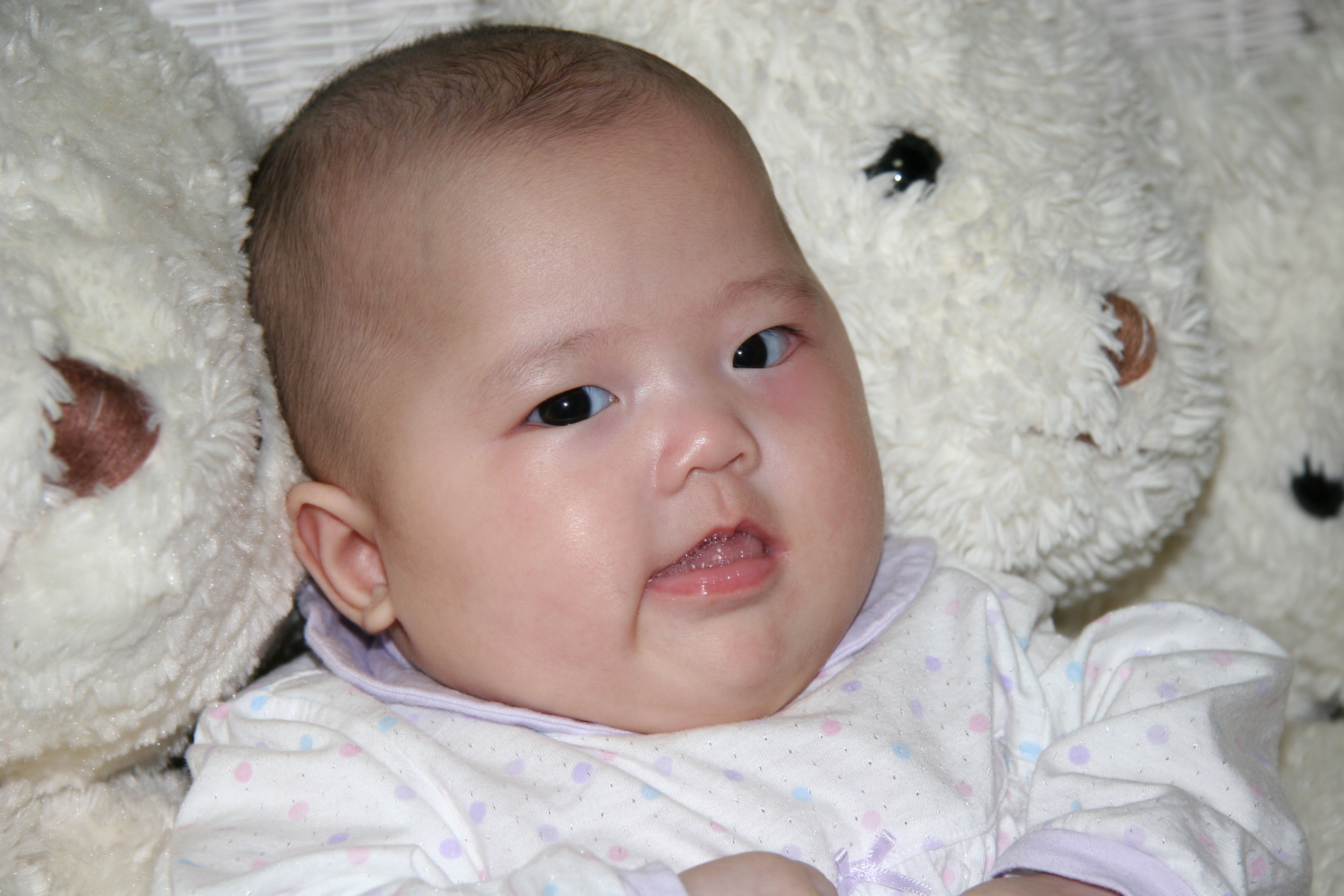 IMG_3997.JPG