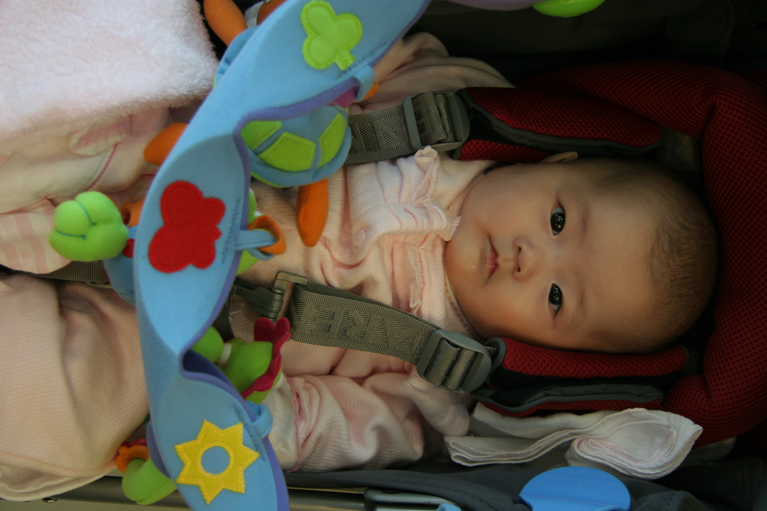 2007-05-05_12-52-38-0025.jpg
