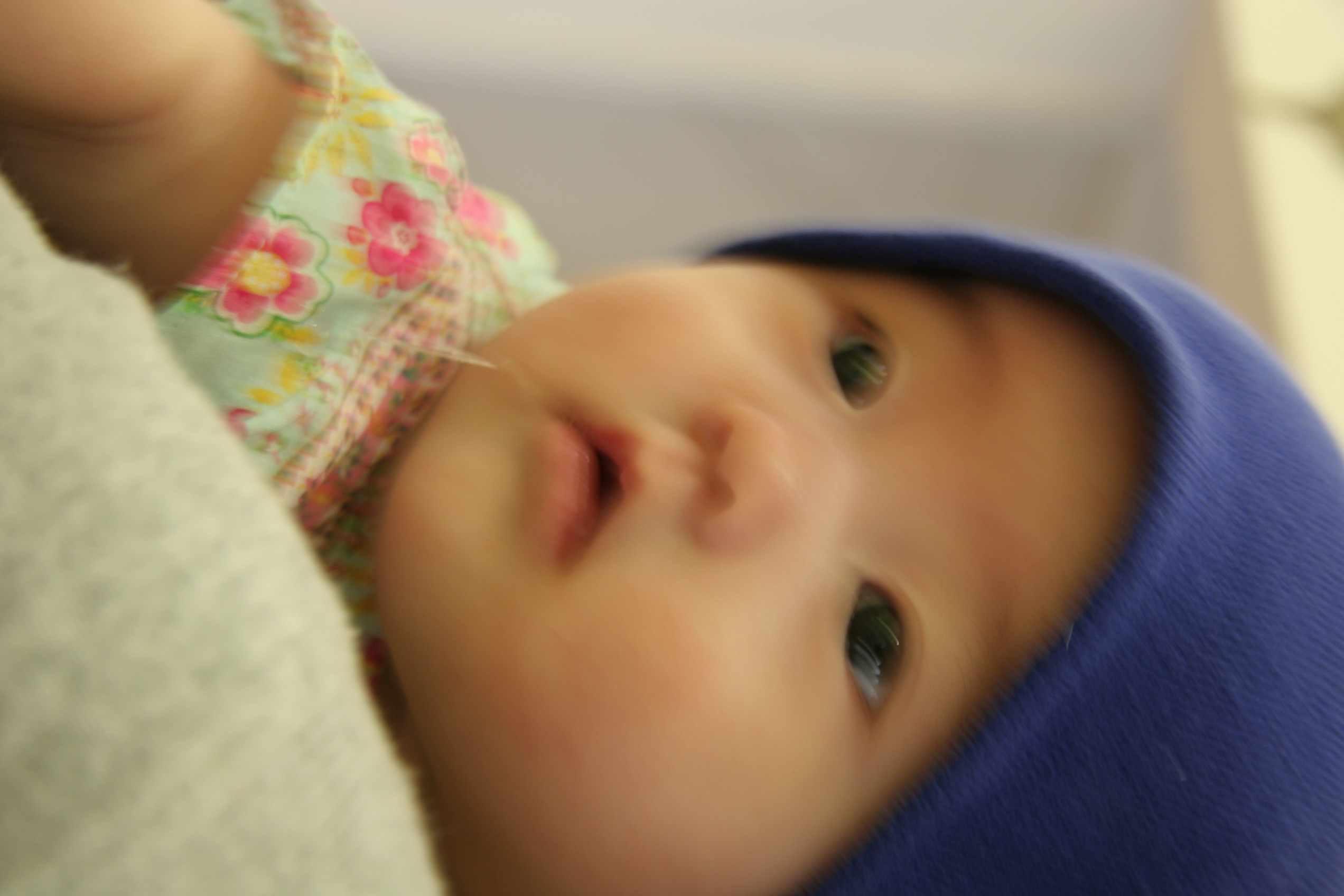 2007-05-06_18-21-00-0113.jpg