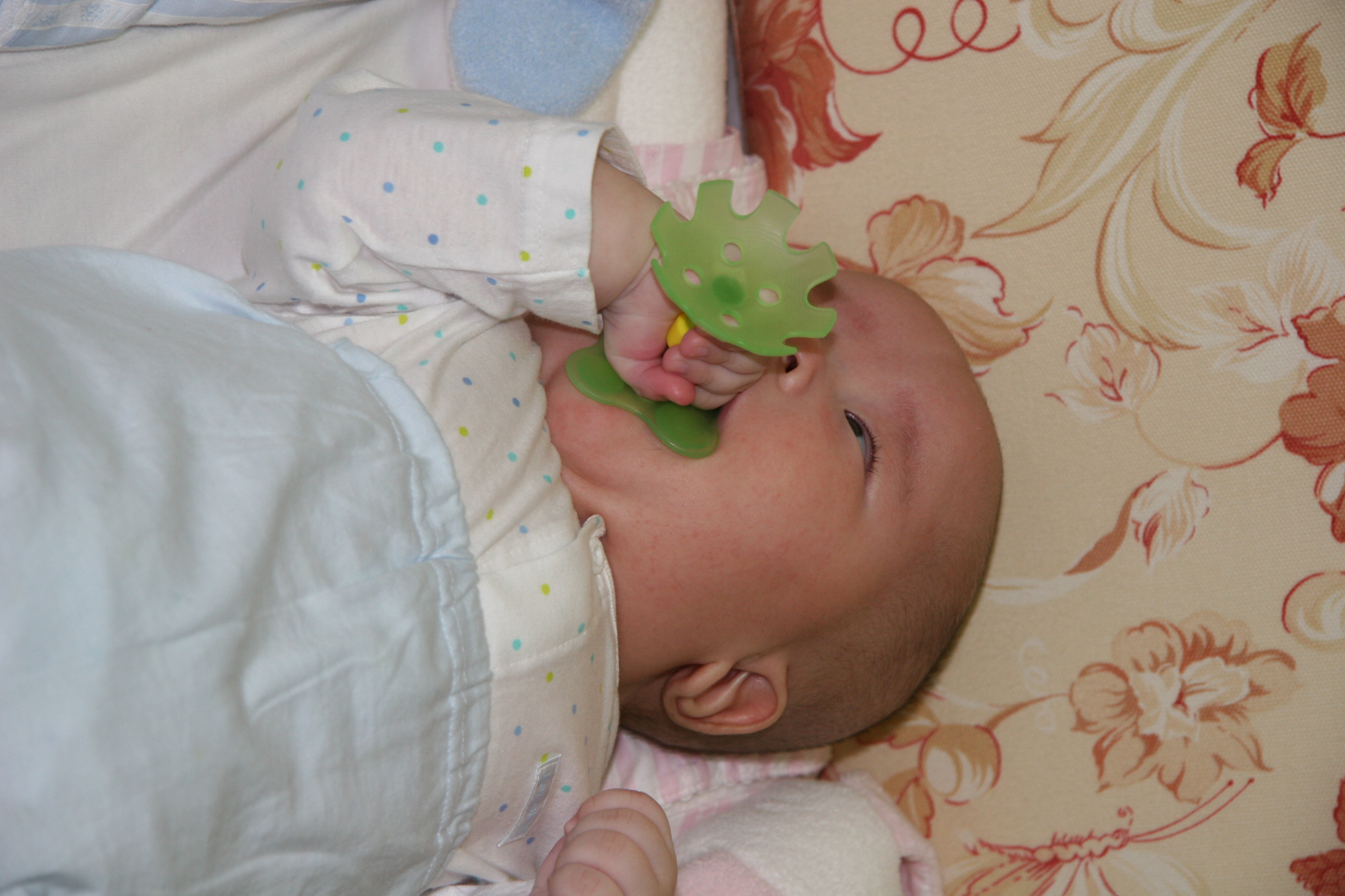 2007-05-08_18-03-32-0201.jpg