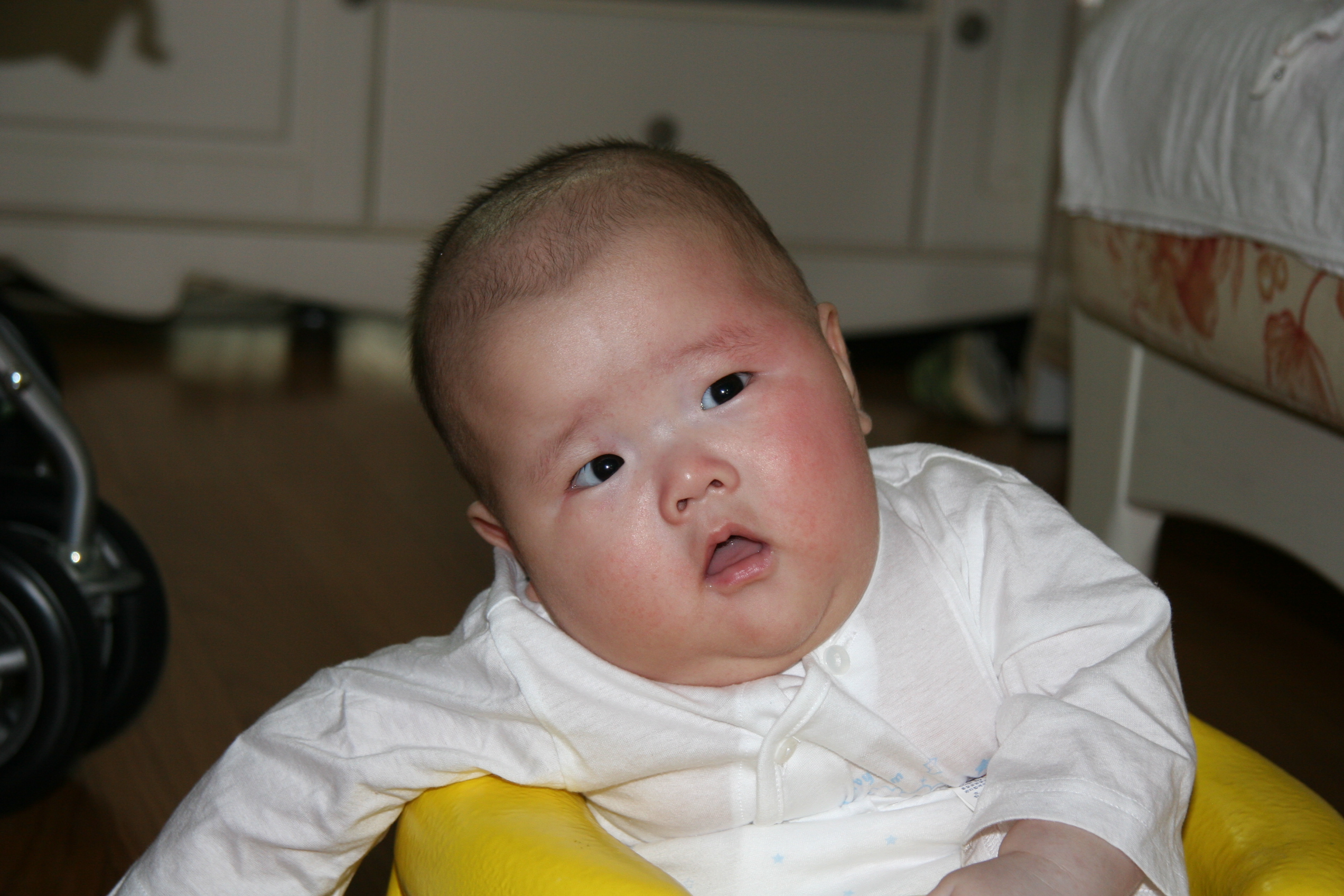2007-05-09_13-06-45-0227.jpg