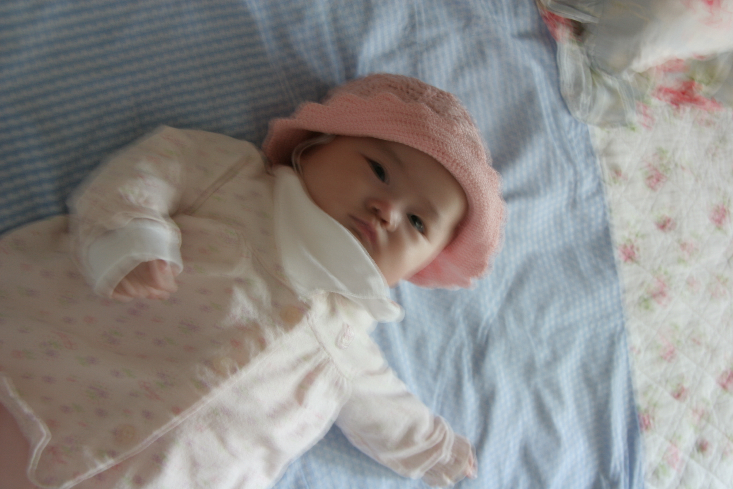2007-05-11_13-23-50-0251.jpg