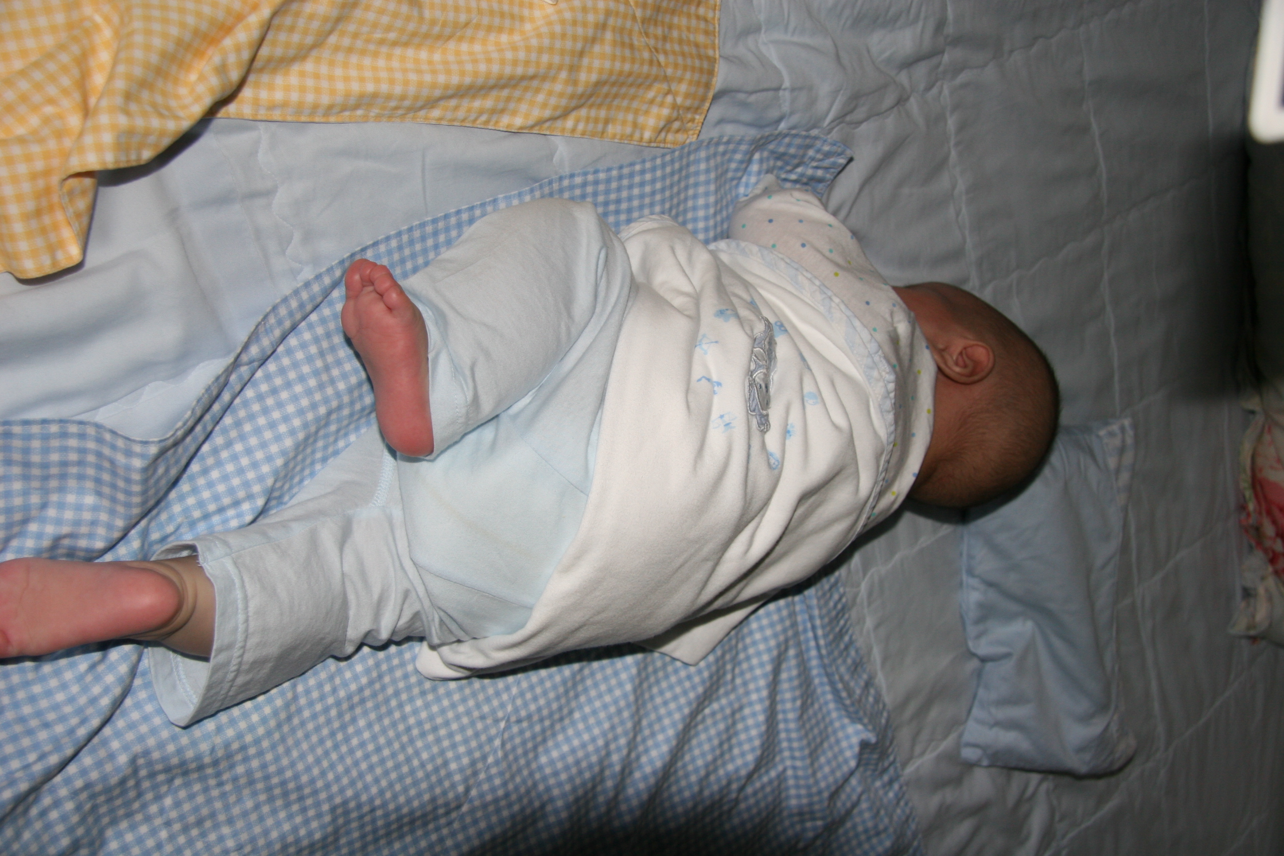 2007-05-13 213.jpg