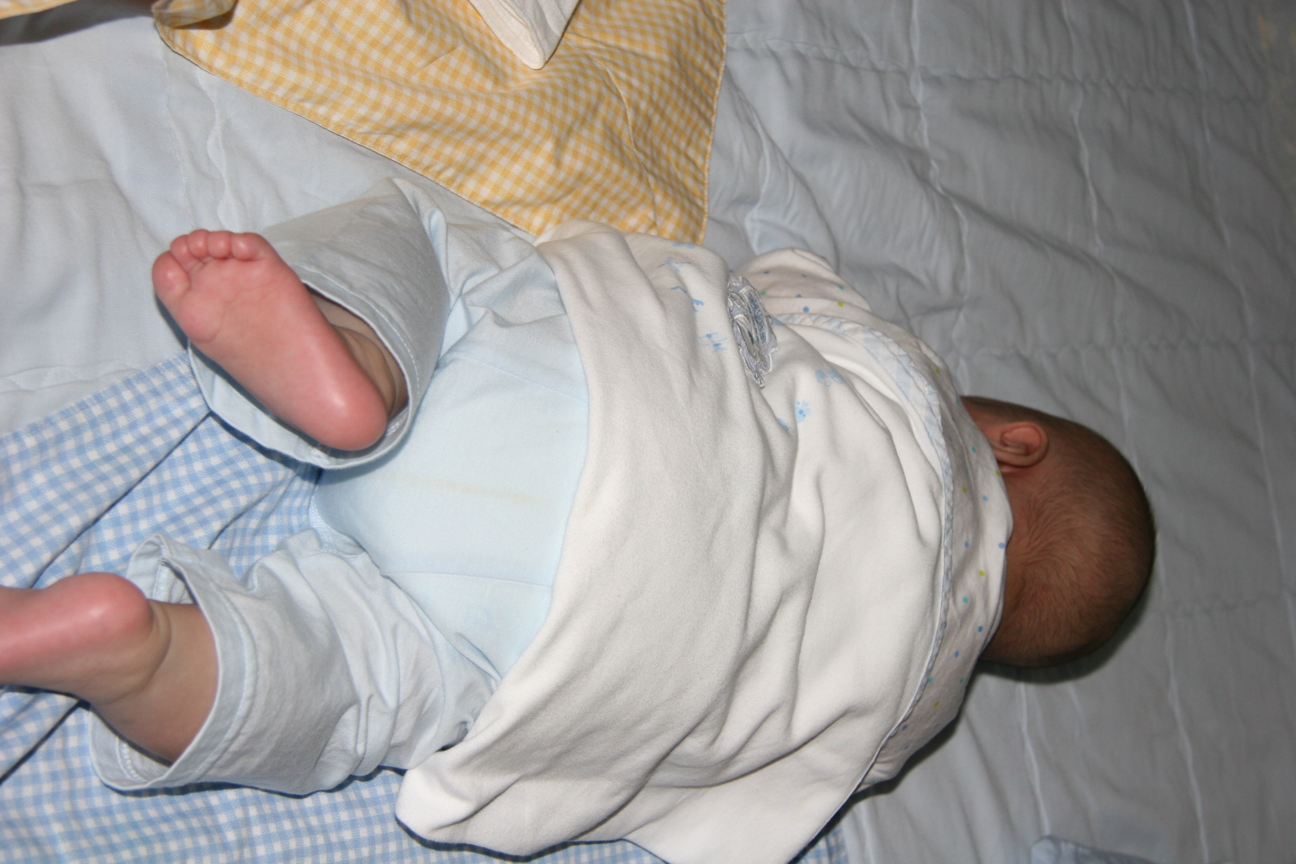 2007-05-13 218.jpg