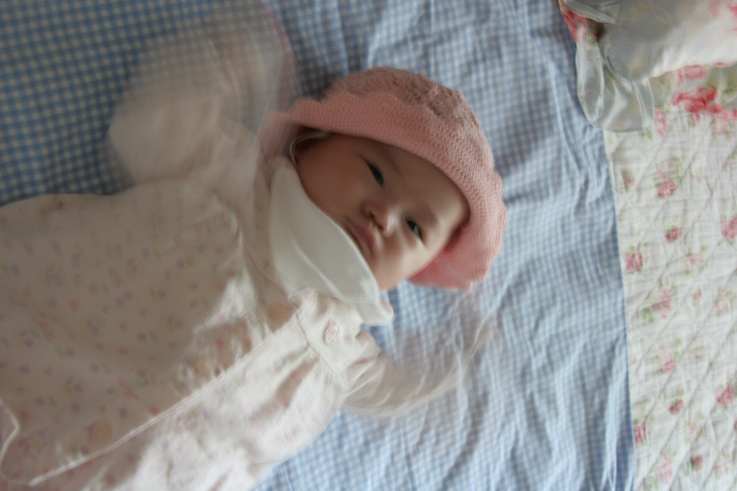 2007-05-13 250.jpg