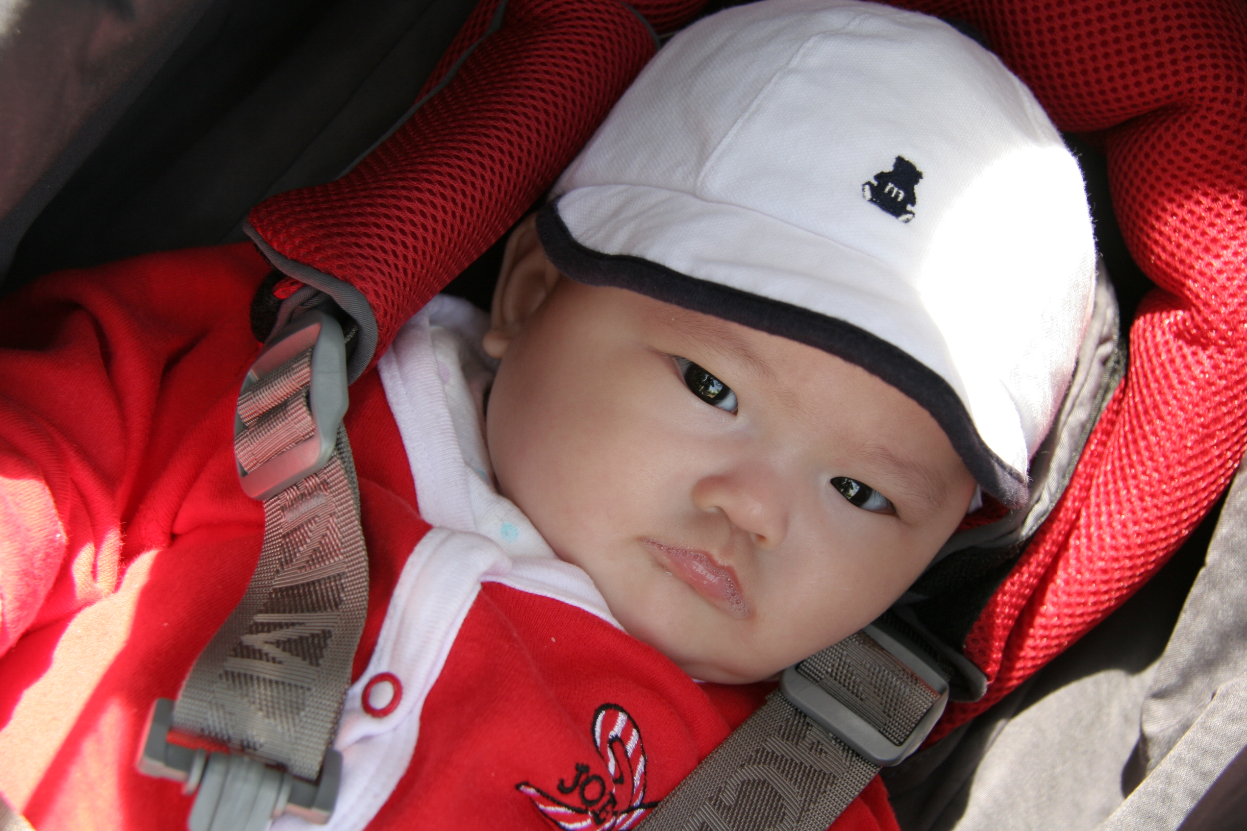 2007-05-13 256.jpg