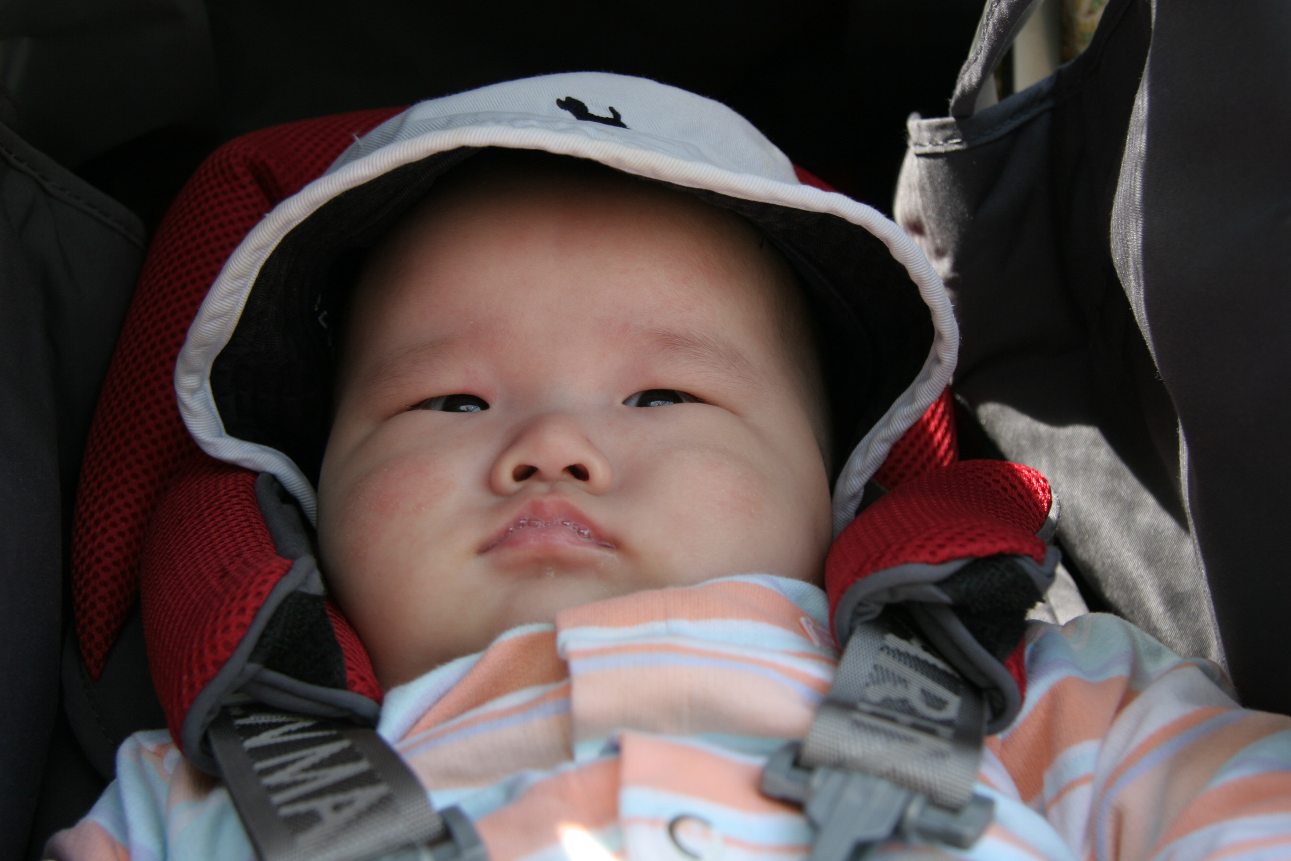 2007-05-13_13-32-37-0254.jpg