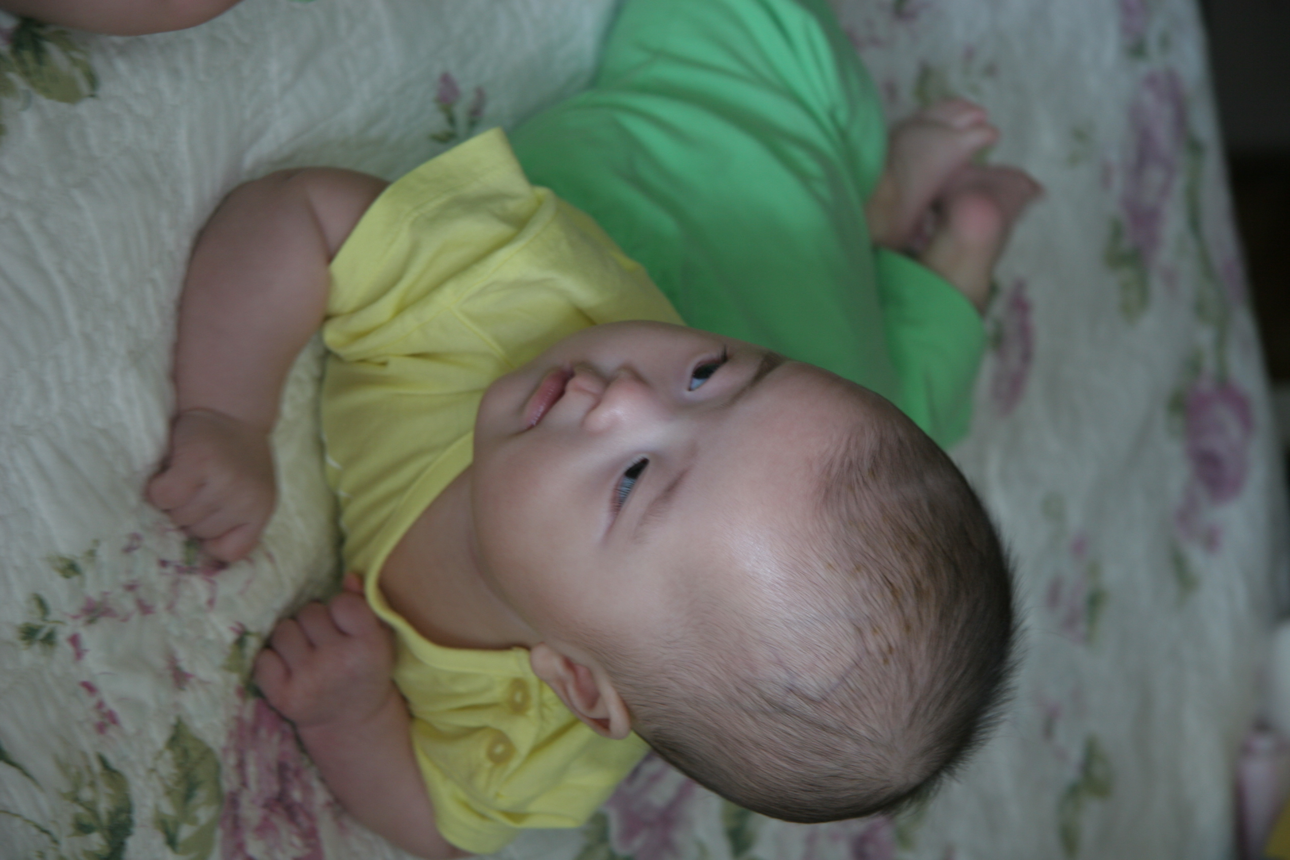 IMG_4265.JPG